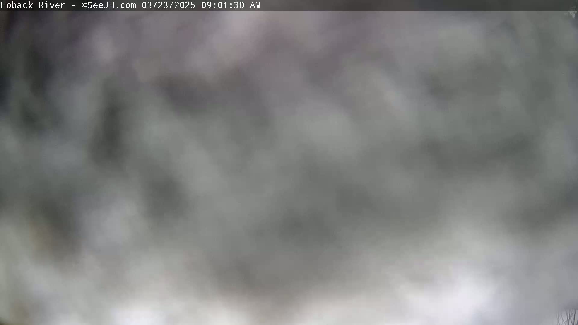 A blurry, overcast image shows a mostly gray sky with indistinct features in the foreground.