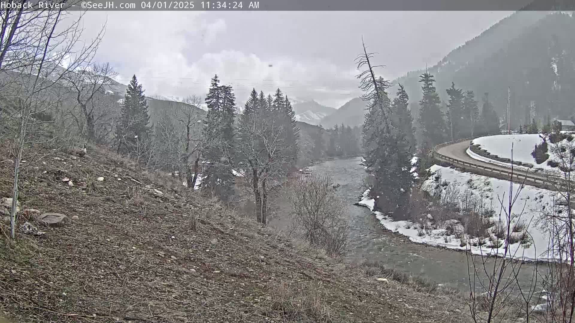 A snow-covered river bends through a valley of snow-dusted evergreens under a gray, overcast sky.