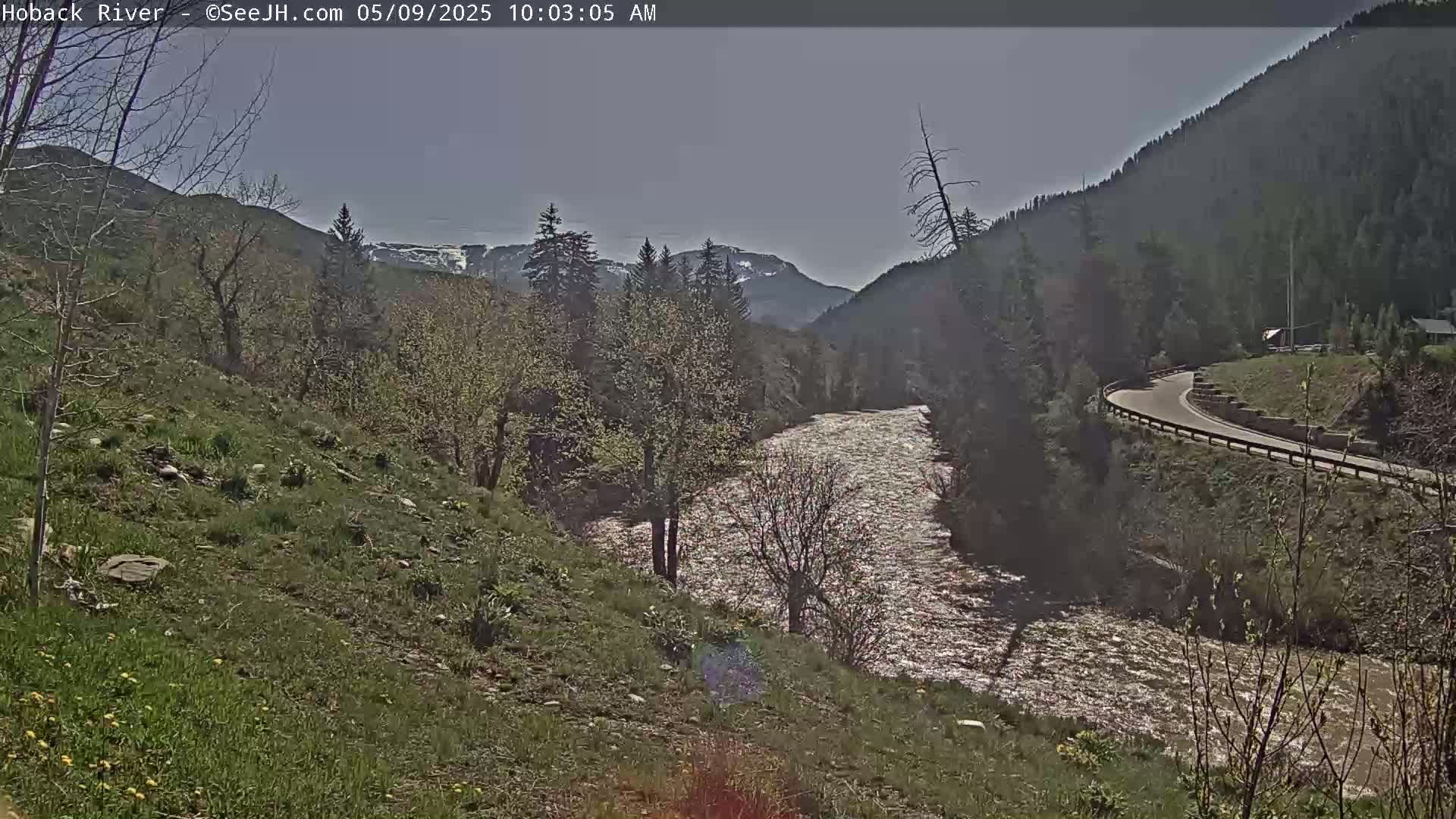 A glistening river flows through a valley under a mostly clear sky, surrounded by budding trees and mountains with patches of snow.