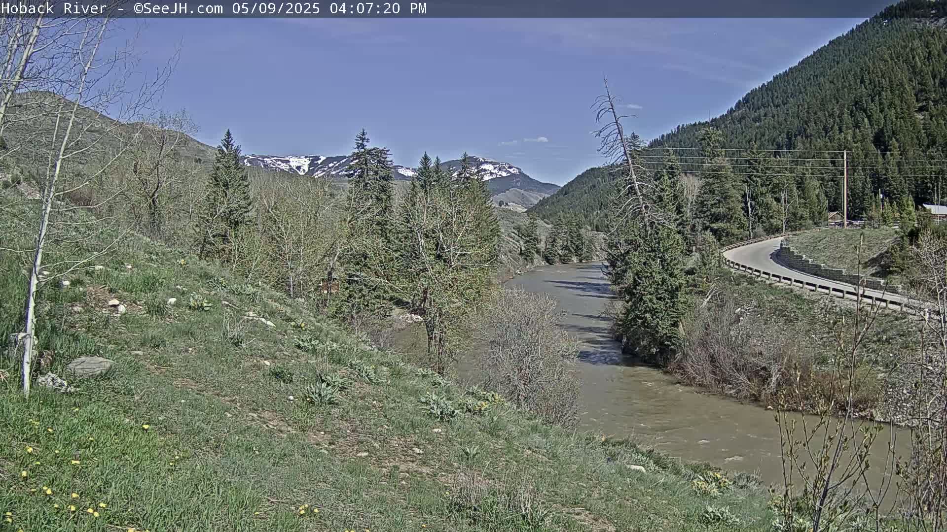 A river flows through a valley under a clear blue sky, surrounded by green hillsides and evergreen trees, with snow-capped mountains in the distance.
