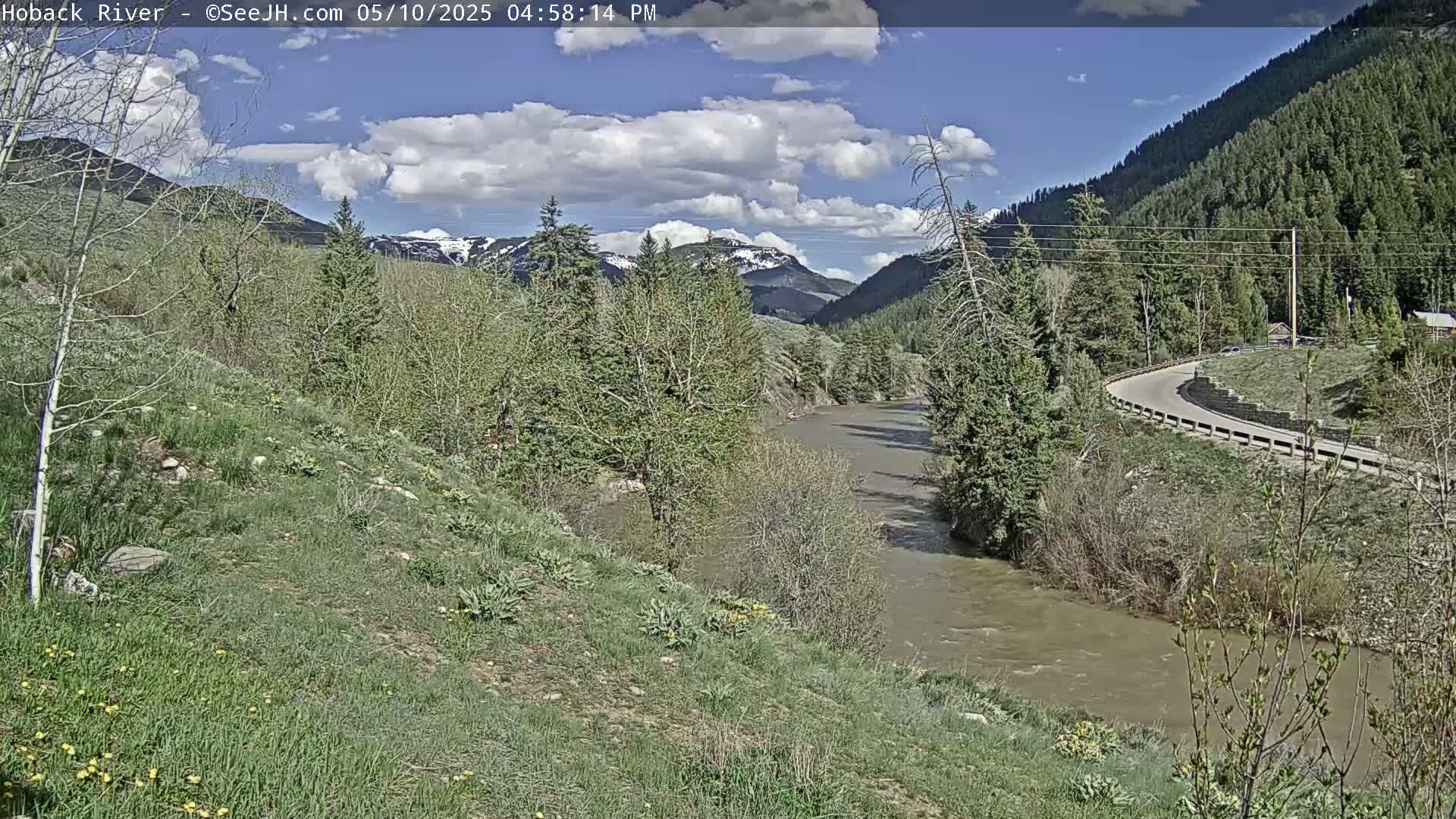 A muddy river flows through a green valley under a partly cloudy sky, with snow-capped mountains in the distance and a road winding along the riverbank.