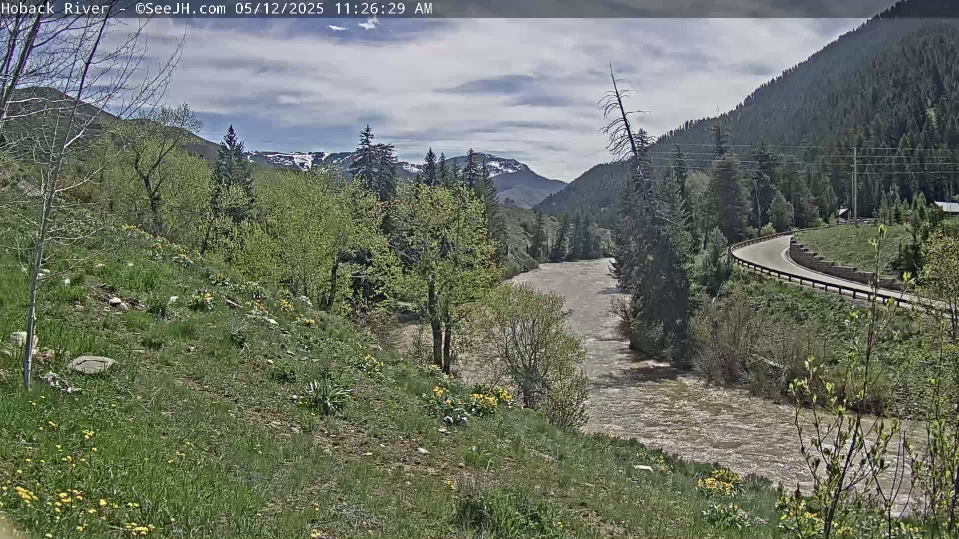 A muddy river flows through a valley of green trees and hills under a partly cloudy sky.