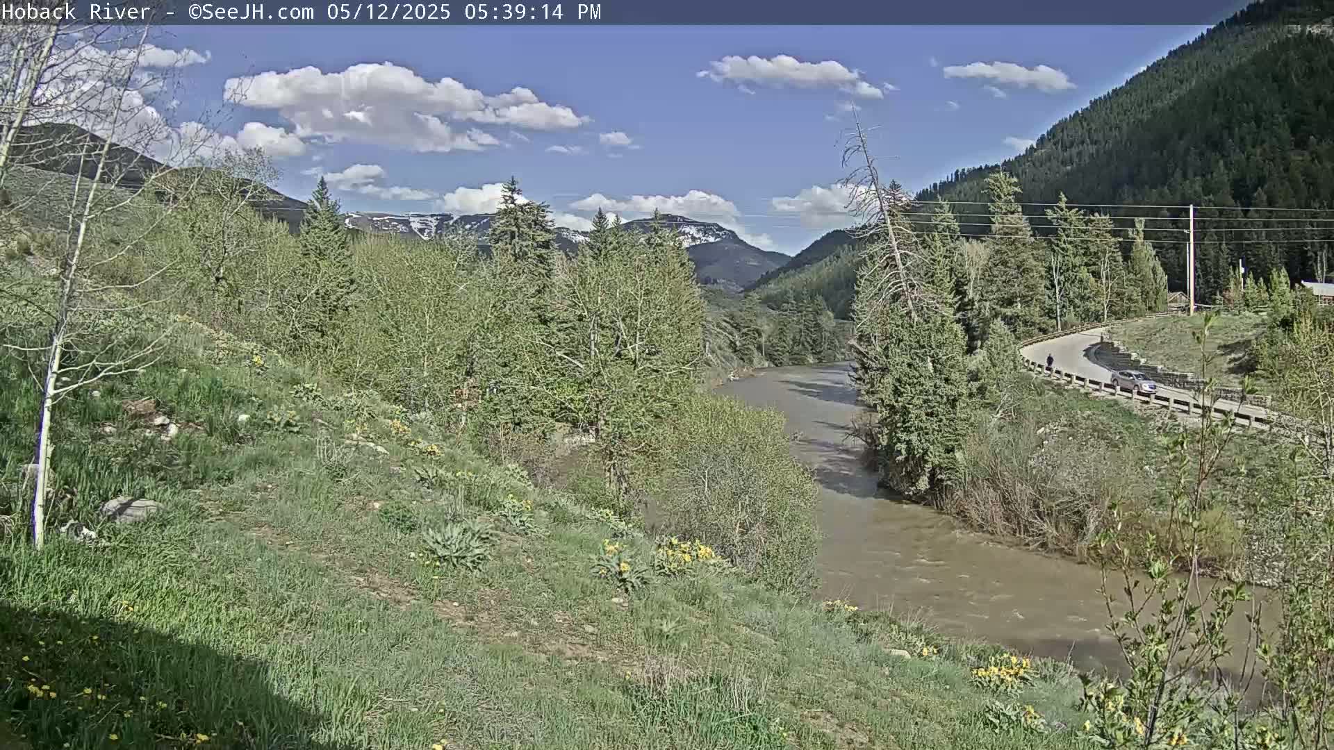 A muddy river flows through a valley of green trees and grassy hills under a partly cloudy blue sky.