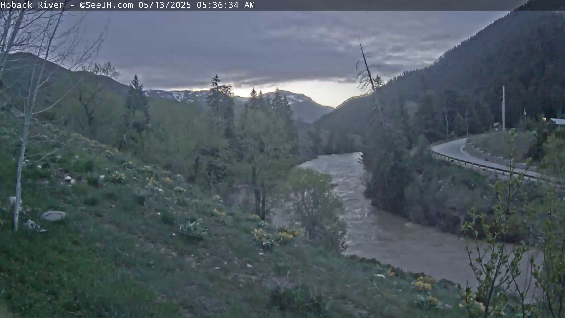 A muddy river flows through a valley at dawn under a cloudy sky, bordered by lush green hillsides and a winding road.
