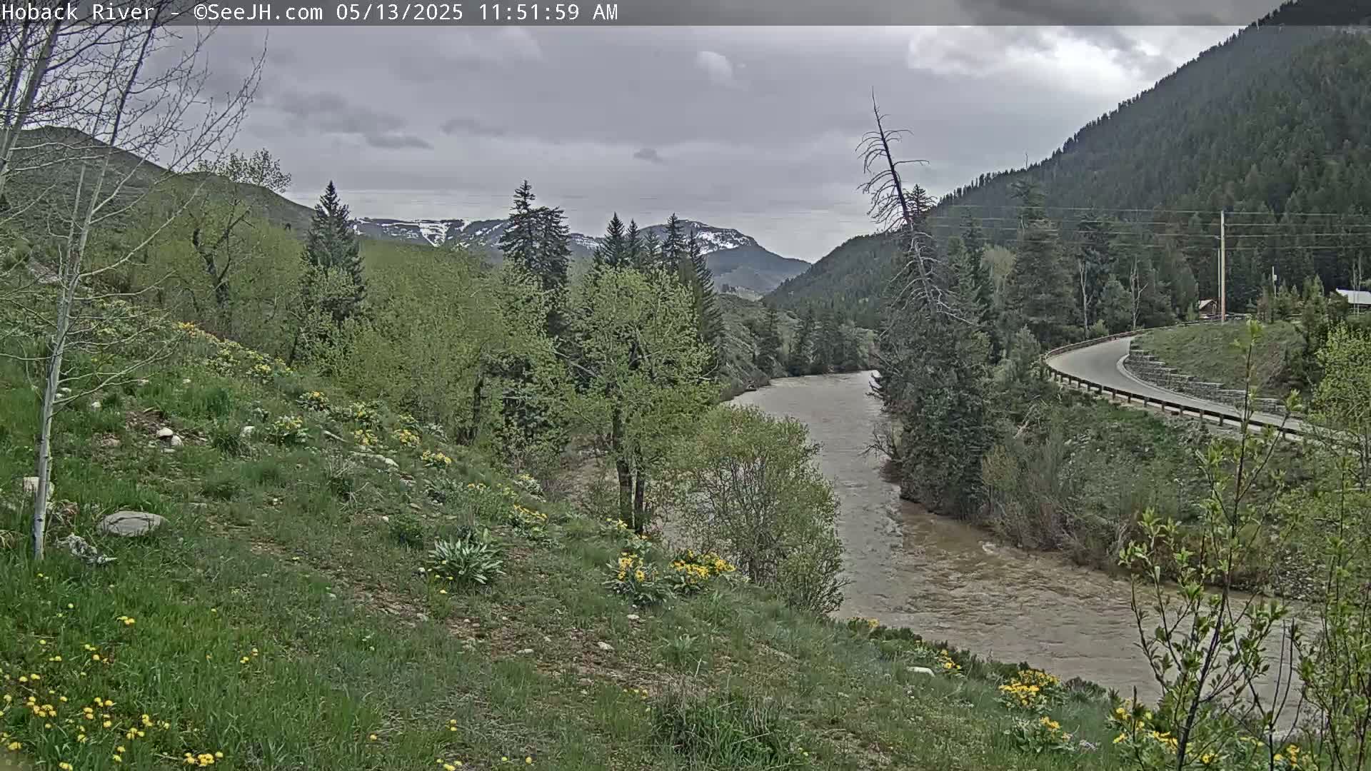 Hoback River  Live Cam  - Hoback, Teton, Wyoming, USA
