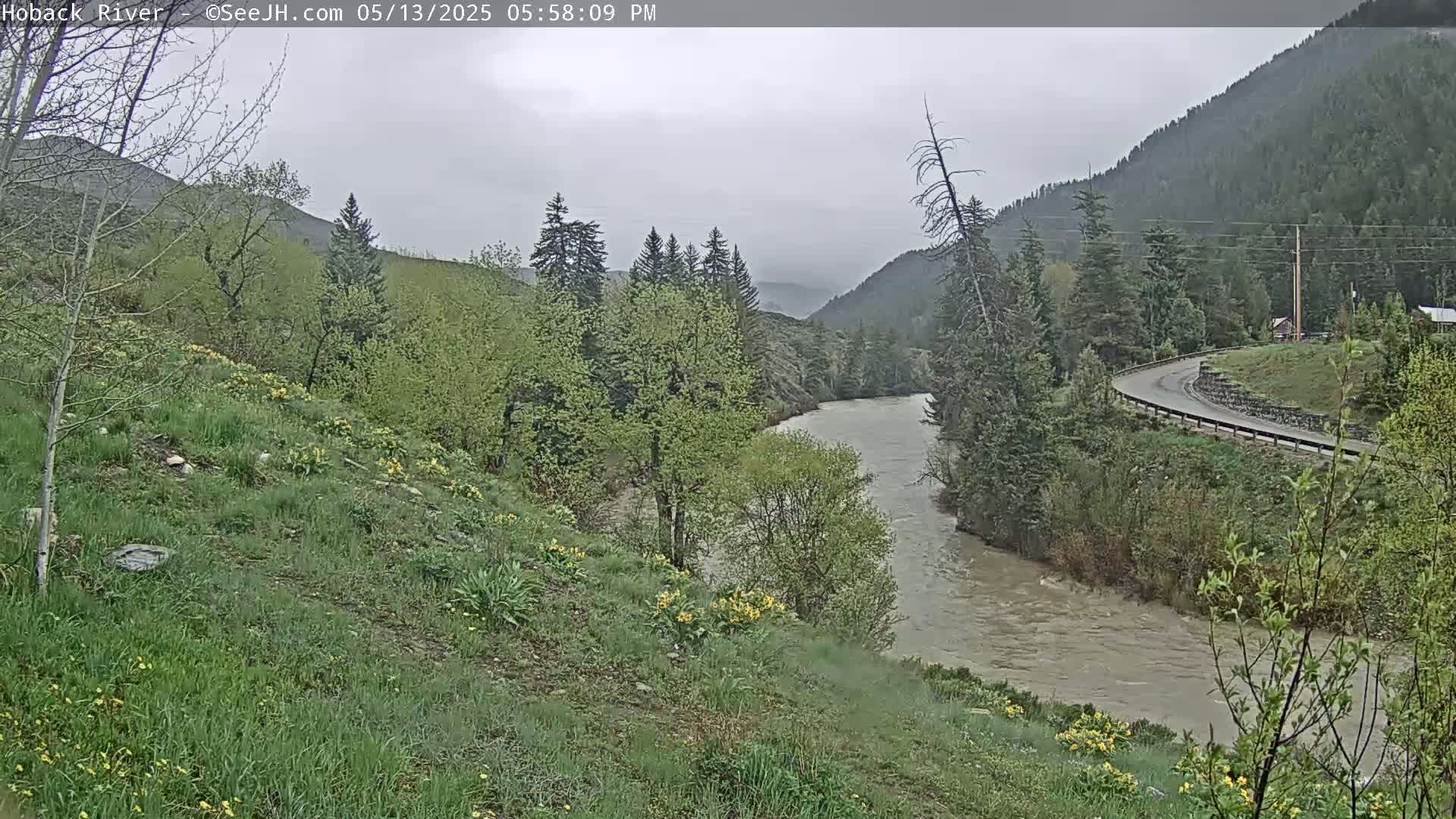 Hoback River  Live Cam  - Hoback, Teton, Wyoming, USA