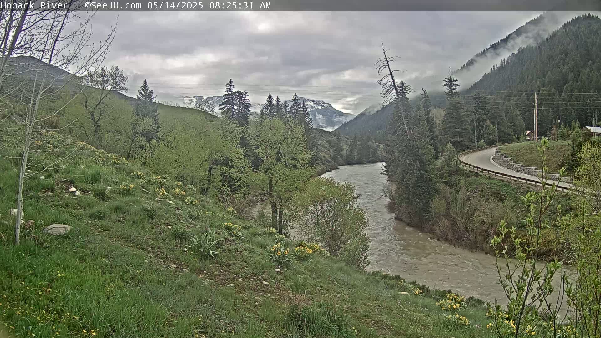 A cloudy day reveals a winding river flowing through a verdant valley bordered by lush green hillsides and coniferous forests, with some mountain peaks visible in the distance.