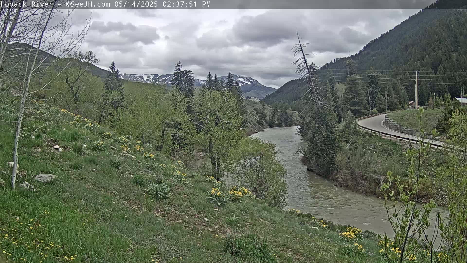 A river flows through a valley of green hills and trees under a cloudy sky, with some patches of snow visible on distant mountains.