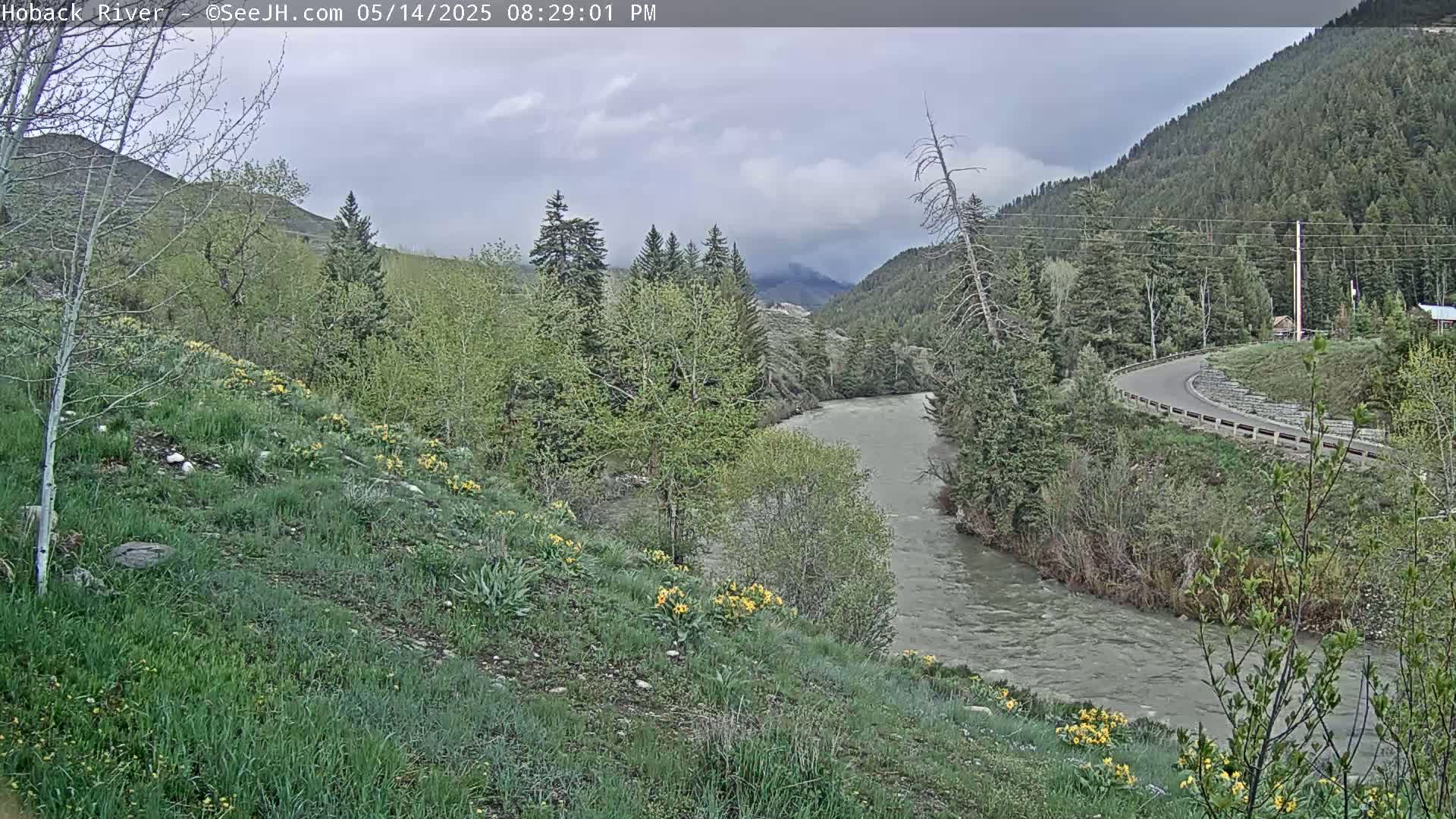Hoback River  Live Cam  - Hoback, Teton, Wyoming, USA