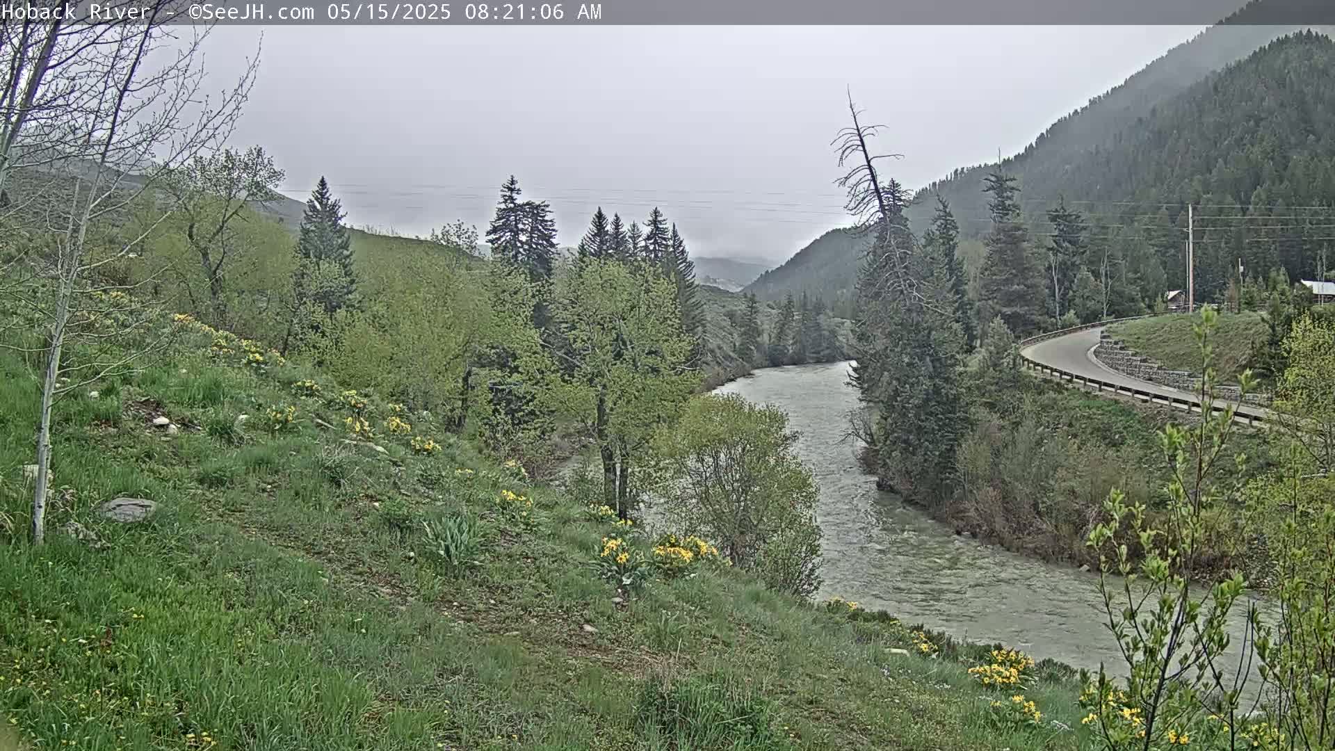 A winding river flows through a valley of green hills and trees on an overcast day.