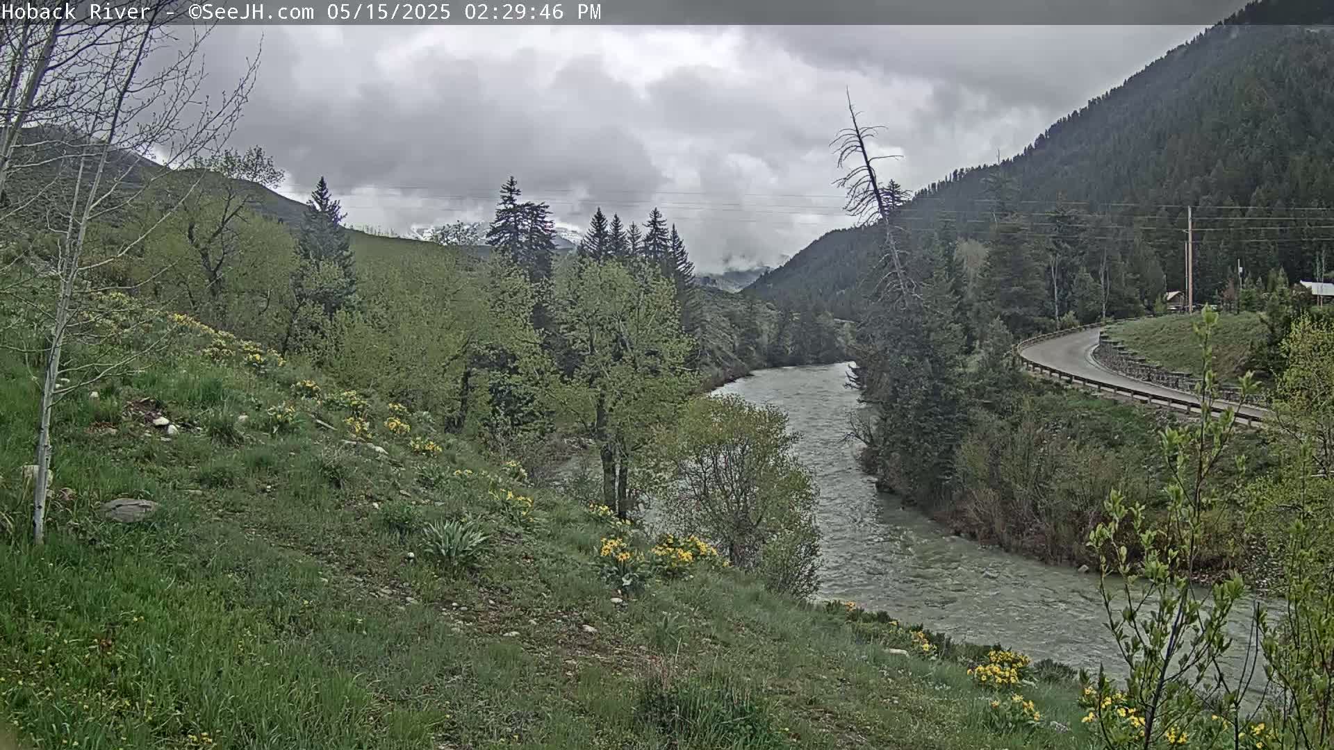 A cloudy day reveals a flowing river winding through a green valley bordered by lush hillsides dotted with yellow wildflowers and a curving road alongside it.