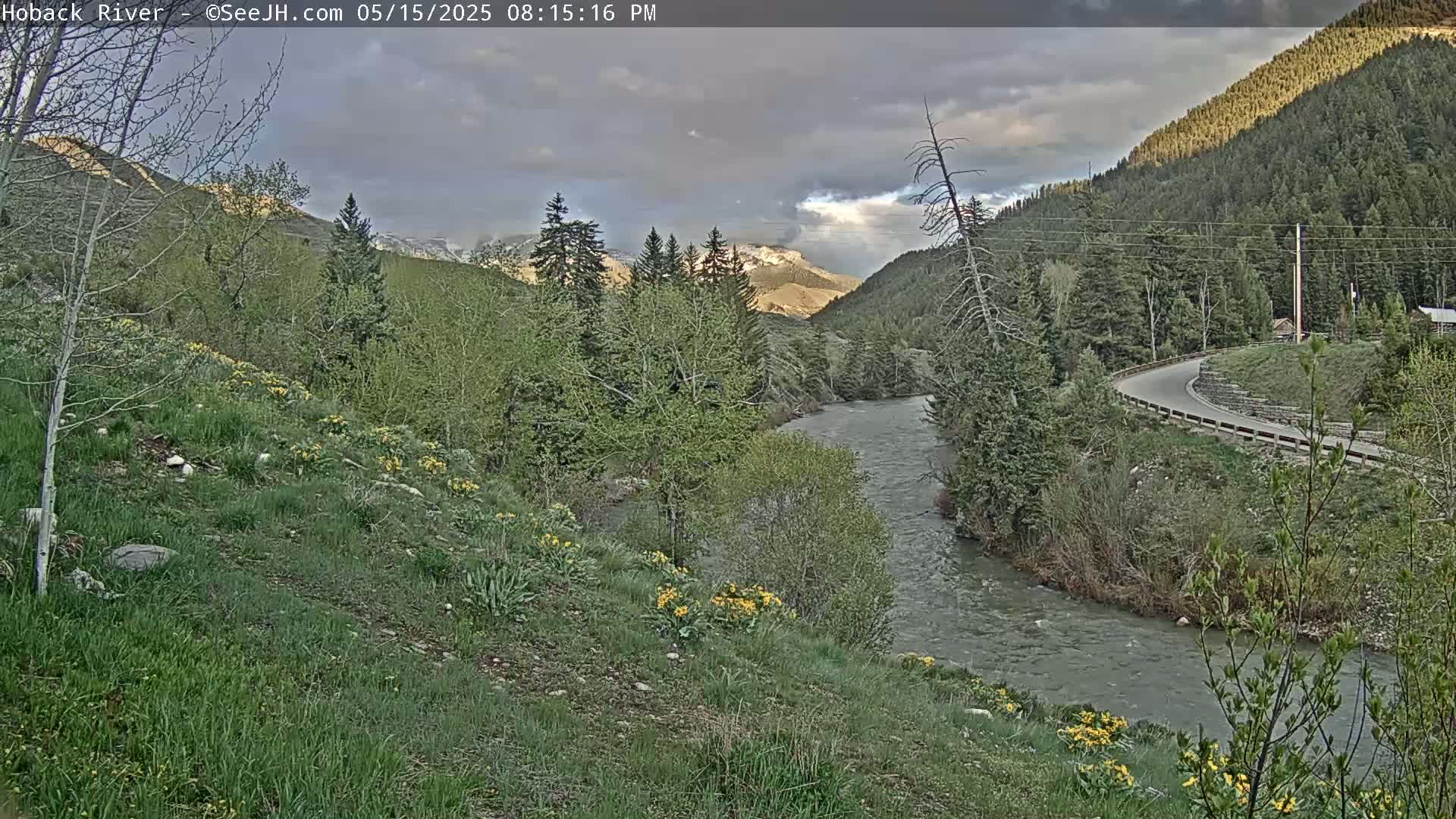 Hoback River  Live Cam  - Hoback, Teton, Wyoming, USA