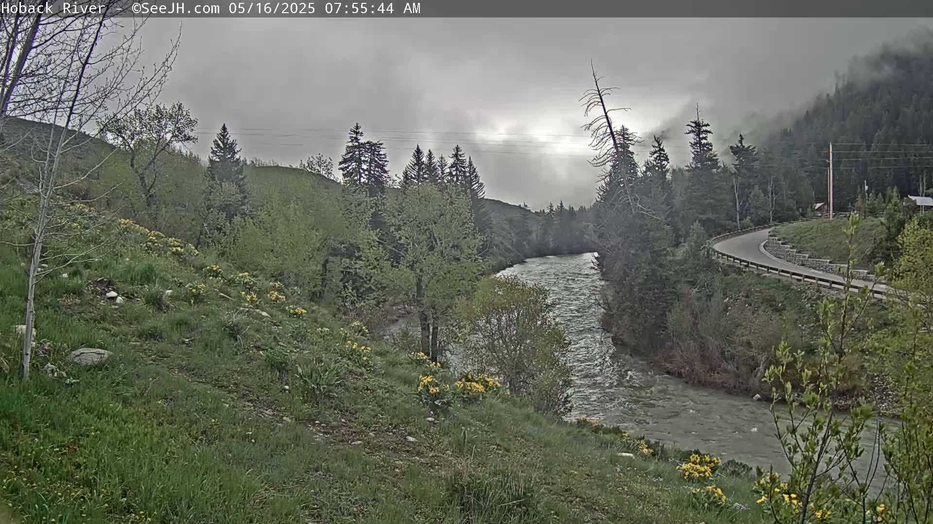 A river flows through a valley of green hills and evergreen trees under an overcast sky.
