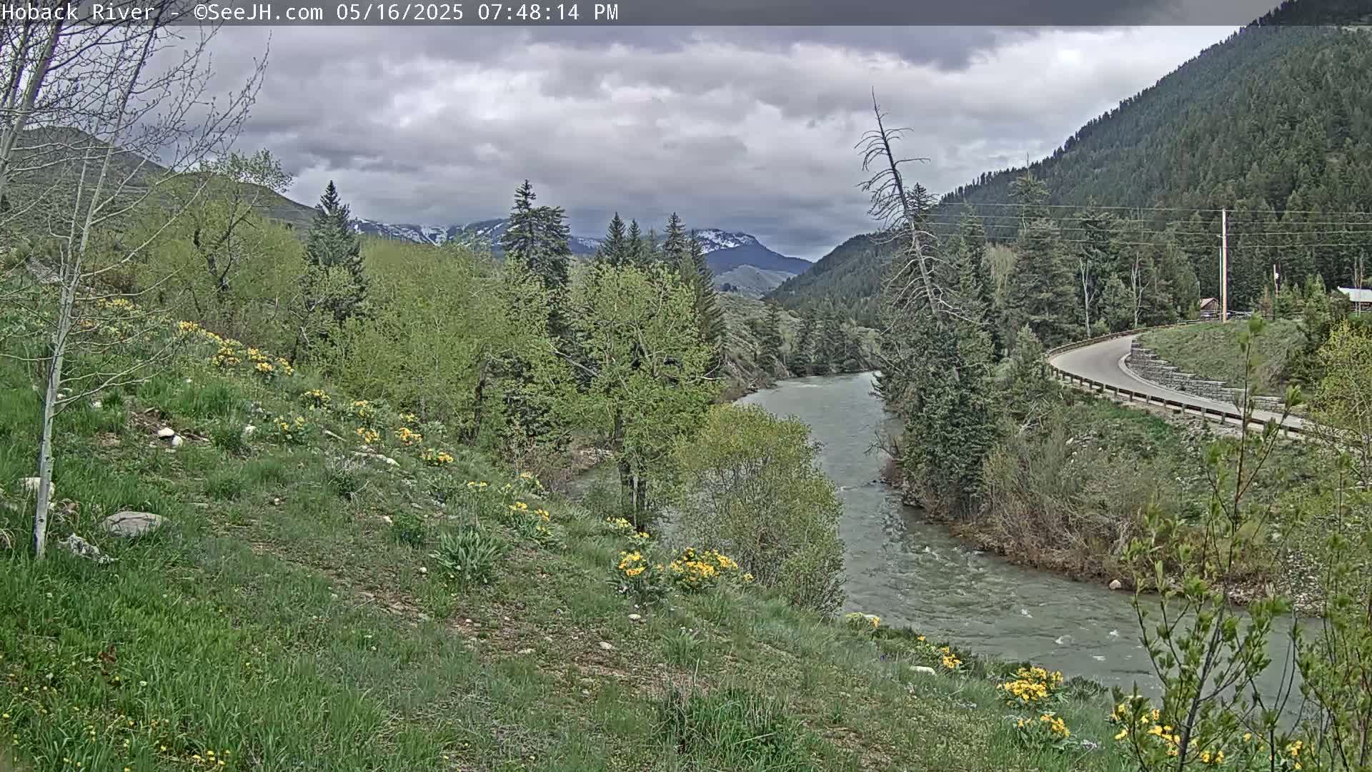 Hoback River  Live Cam  - Hoback, Teton, Wyoming, USA