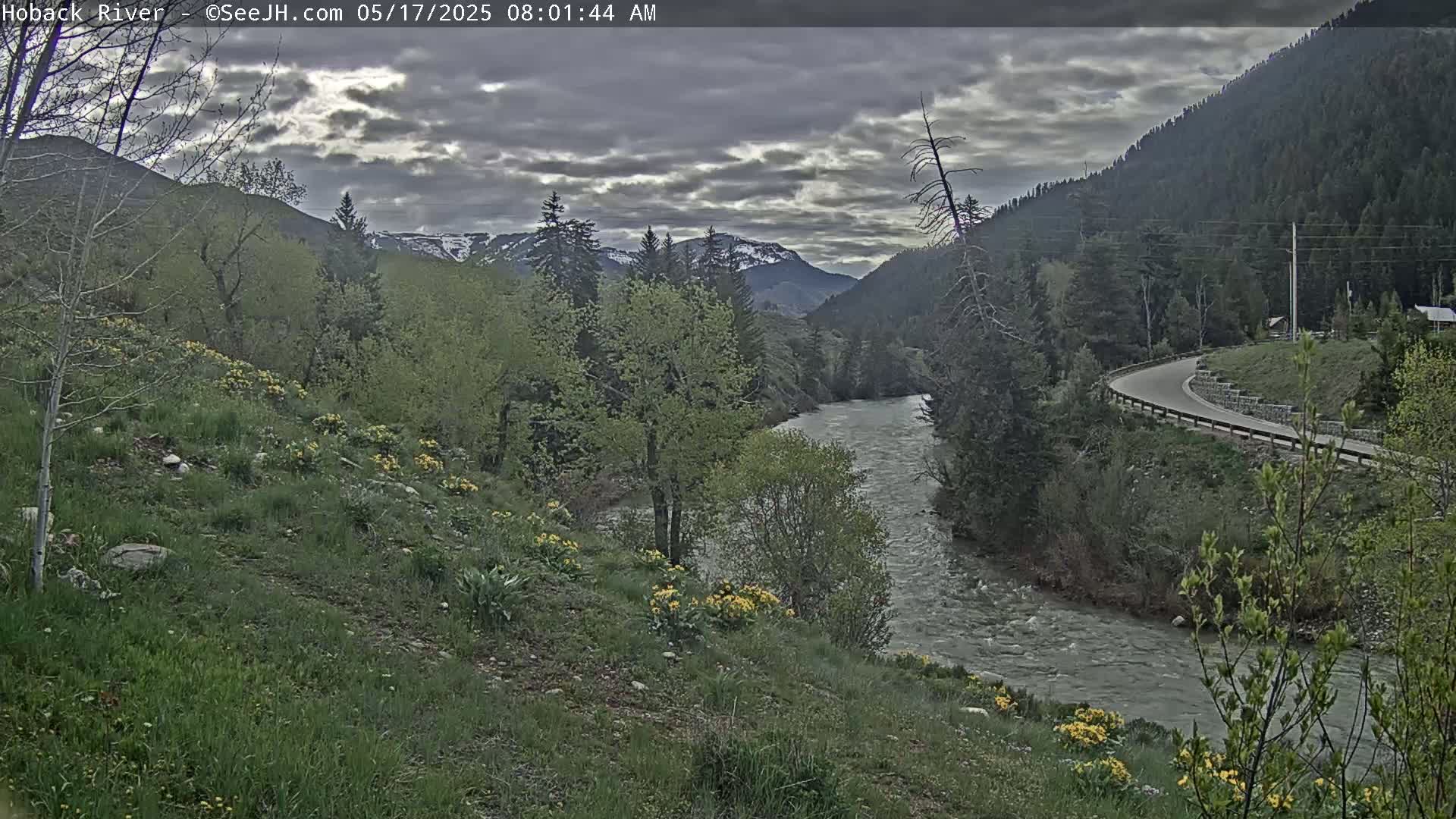 A cloudy morning reveals a river winding through a valley of green hills and trees, dotted with yellow wildflowers, under a gray sky.