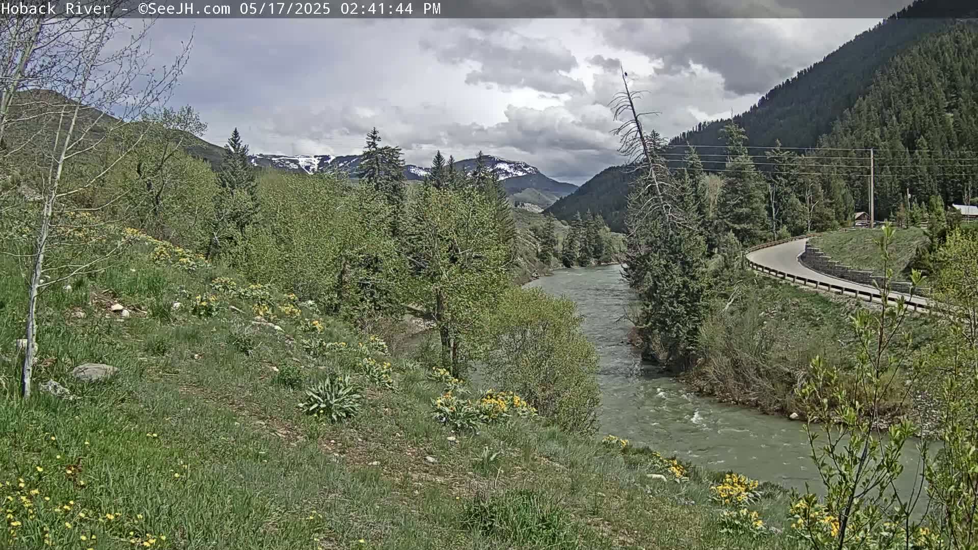 A winding river flows through a green valley under a partly cloudy sky, with a road curving along its bank and snow-capped mountains in the distance.