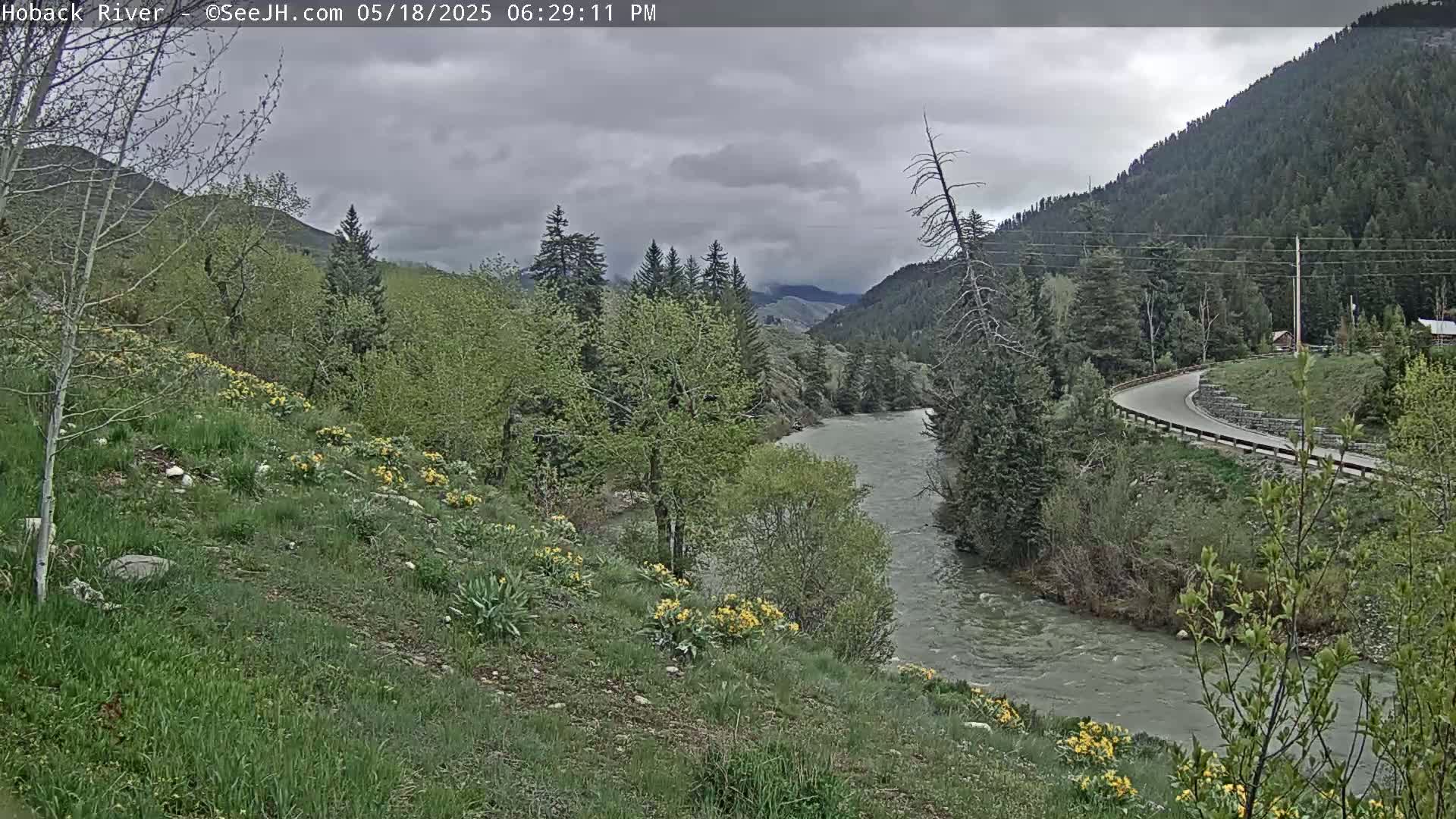 Hoback River  Live Cam  - Hoback, Teton, Wyoming, USA