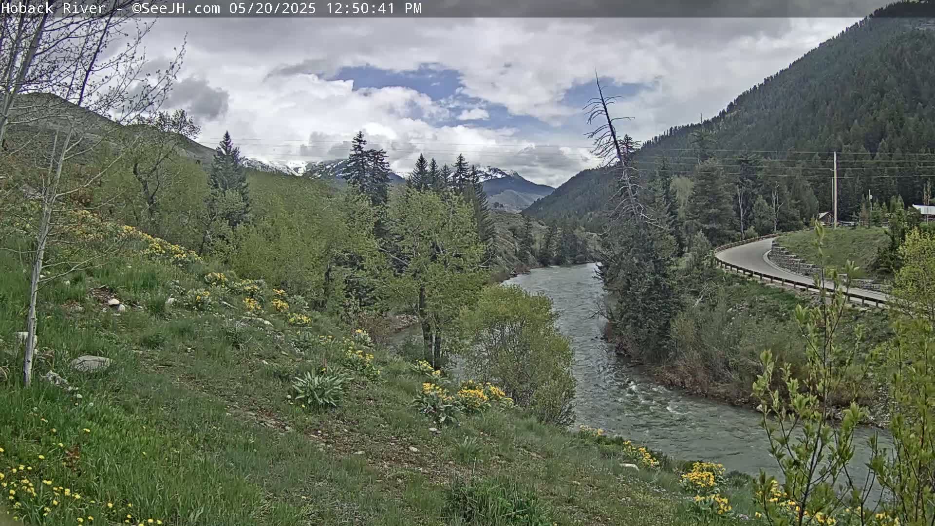 A partly cloudy day reveals a winding river flowing through a verdant valley nestled between mountains, dotted with wildflowers.