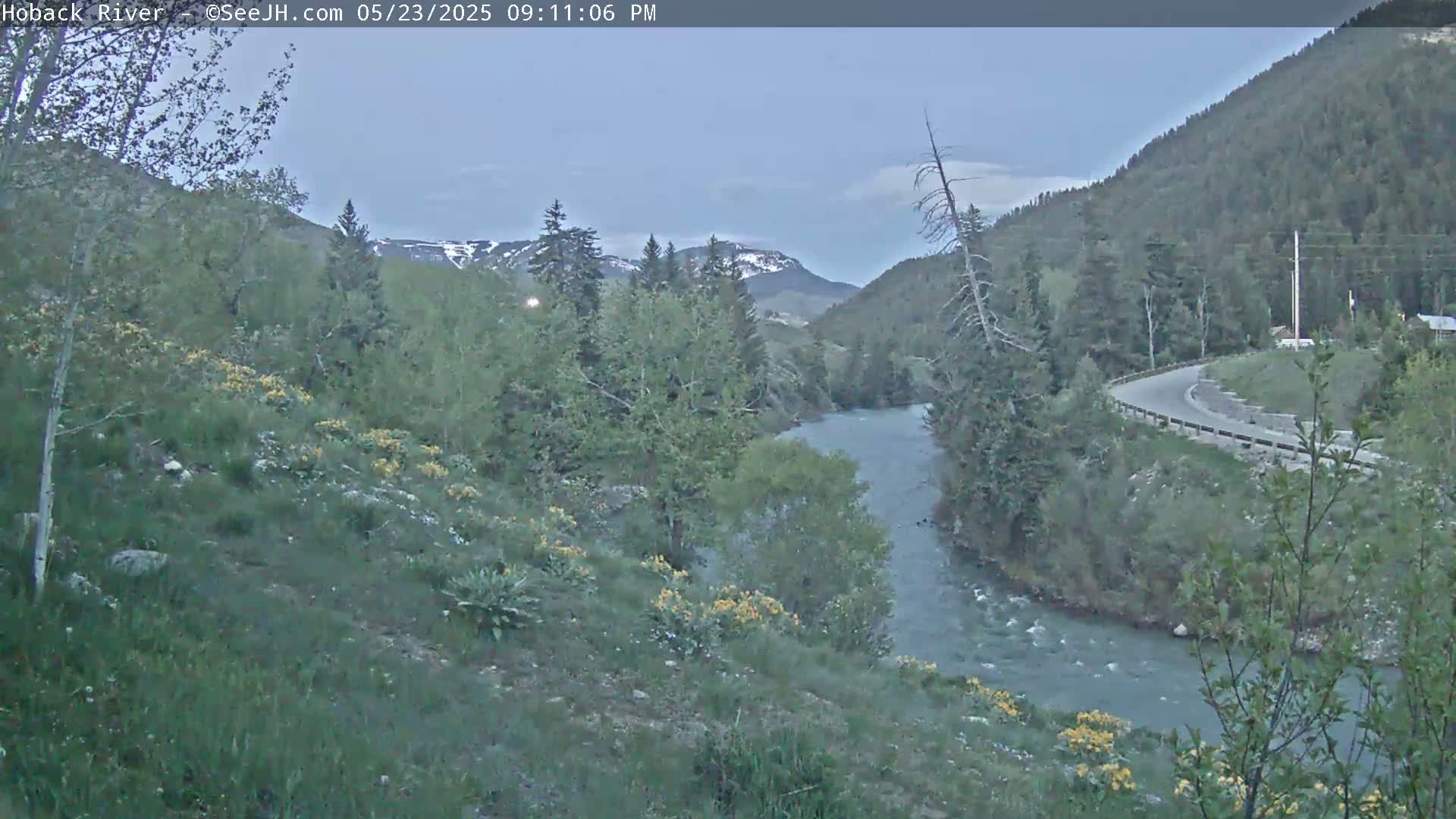 Hoback River  Live Cam  - Hoback, Teton, Wyoming, USA