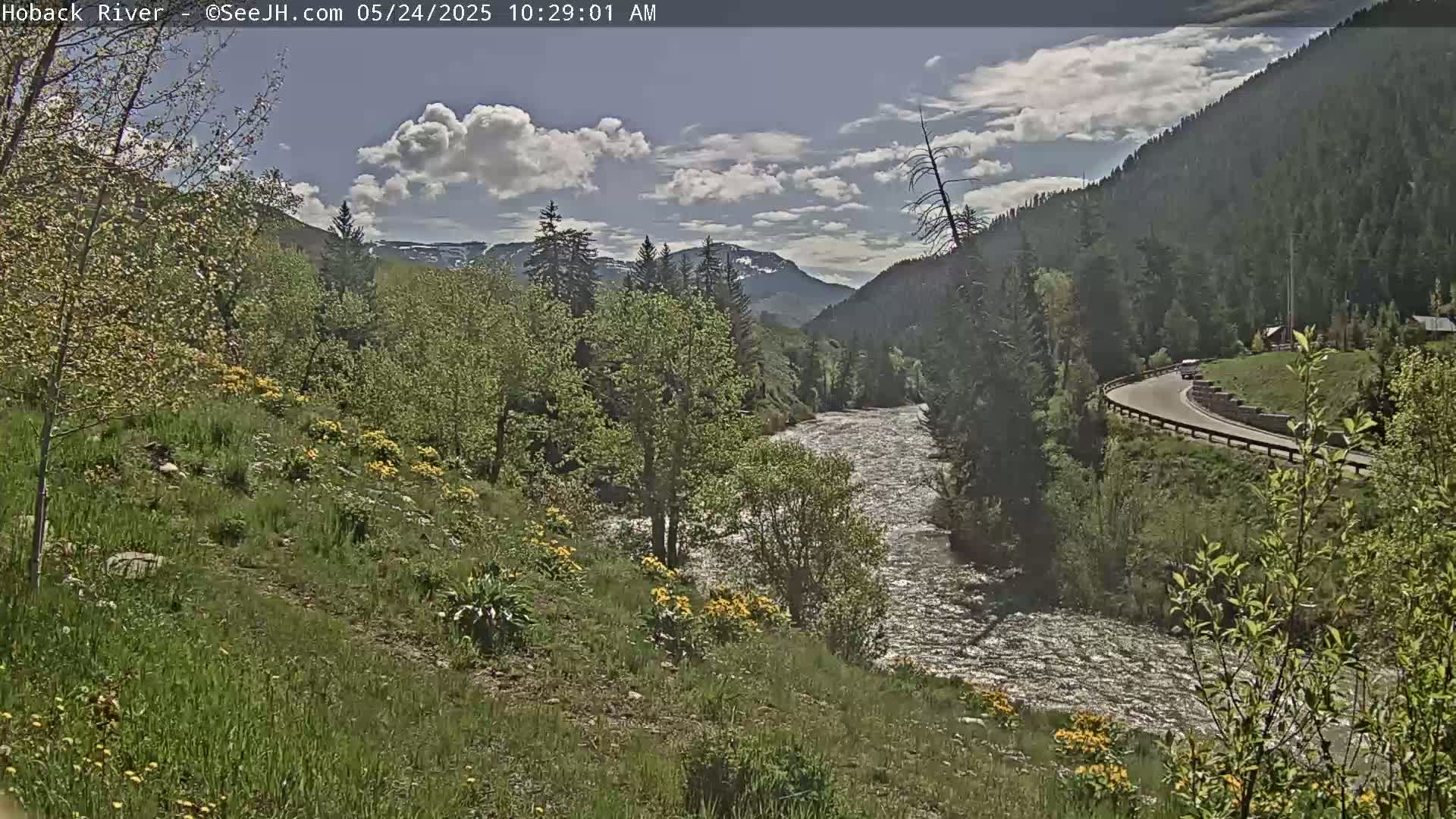 A partly cloudy day reveals a flowing river snaking through a verdant valley, bordered by lush green hillsides dotted with yellow wildflowers and mountains in the distance.