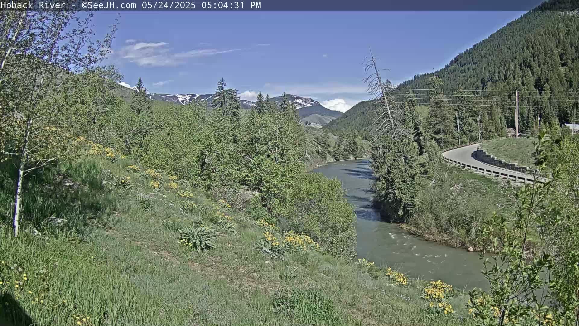 A river flows through a lush green valley under a mostly sunny sky, with mountains in the background and yellow wildflowers blooming along the riverbank.