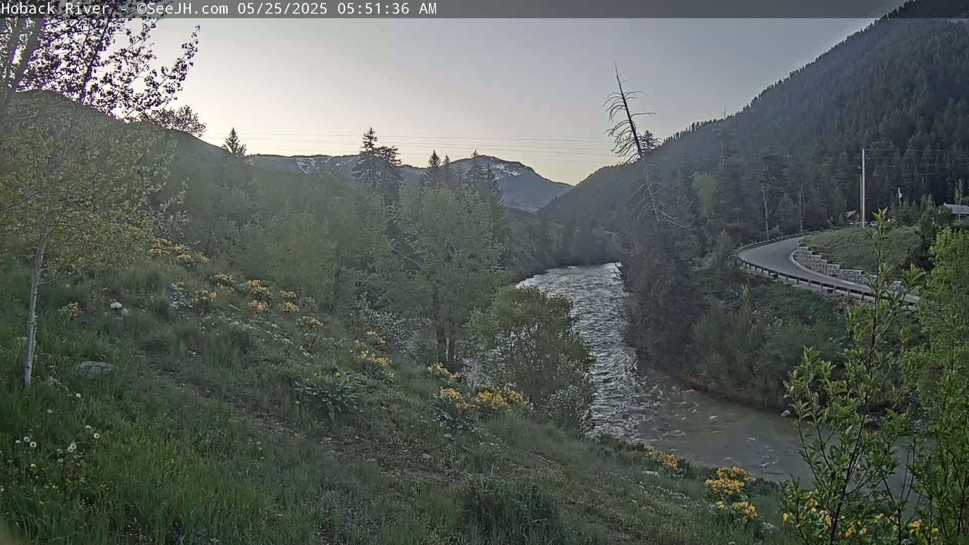 A river flows through a mountain valley at dawn, with a road curving along the opposite bank, and wildflowers blooming on the hillside.