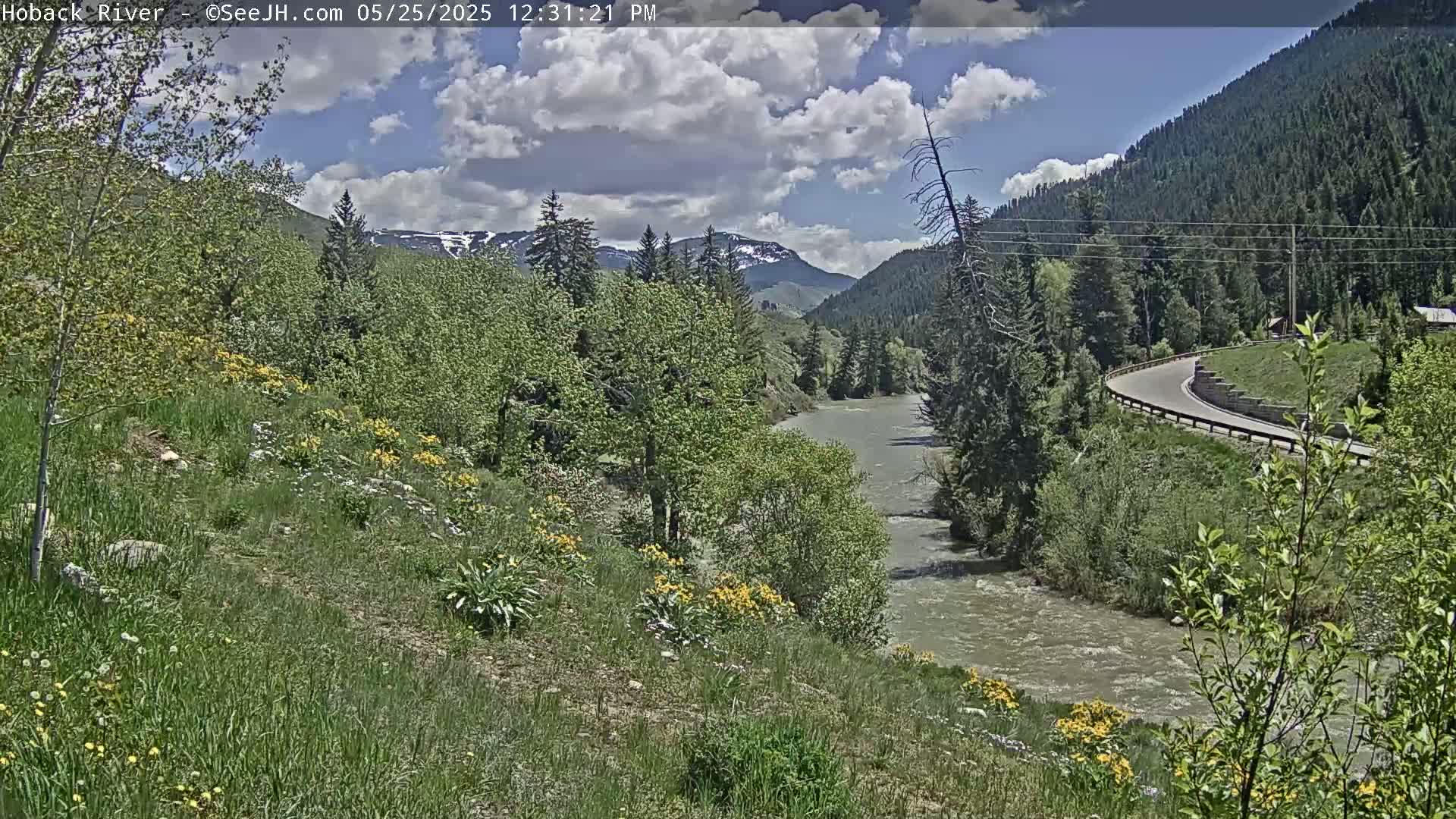 A partly cloudy day reveals a winding river flowing through a lush green valley bordered by mountains, with a road curving along the riverbank.