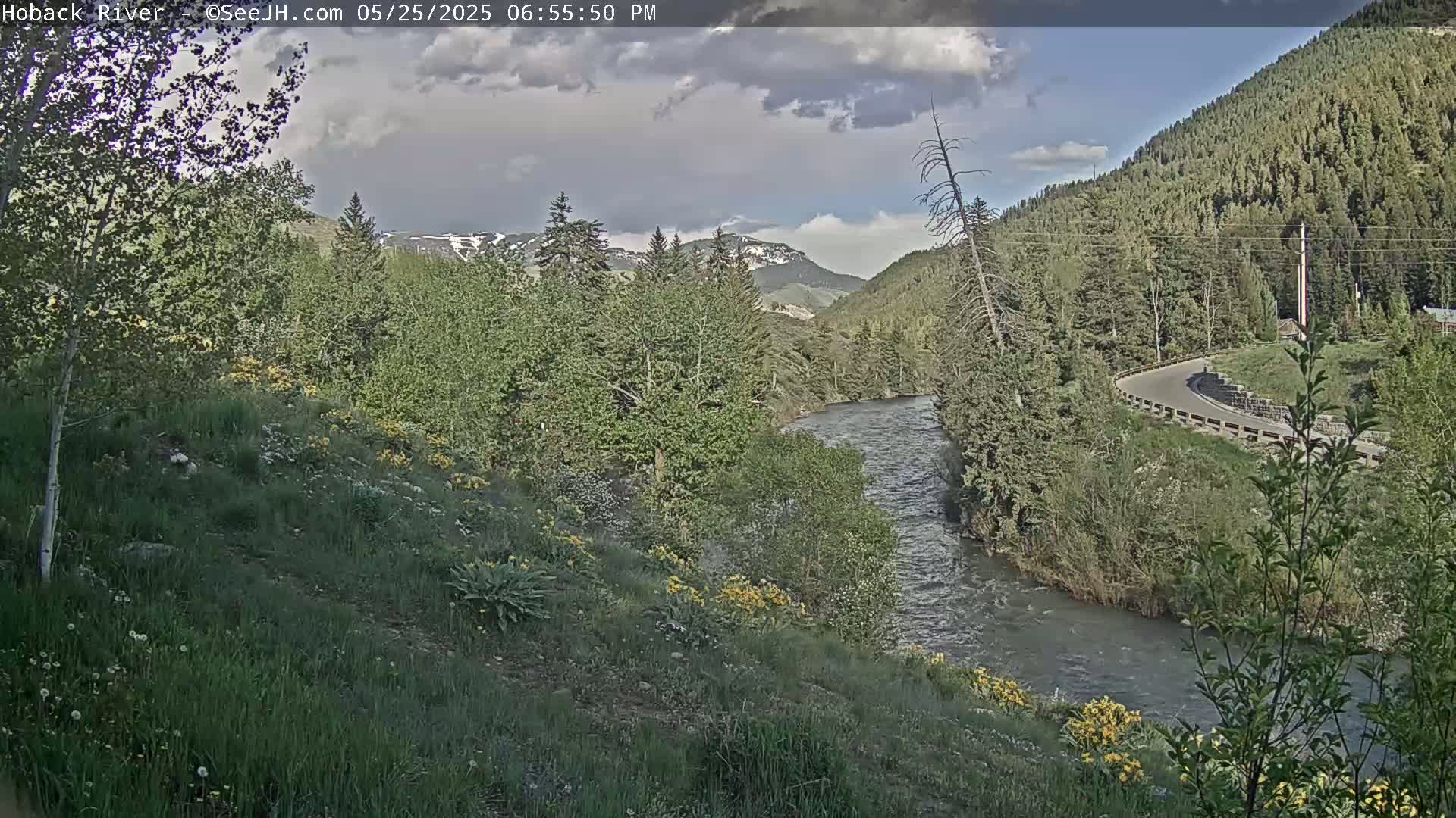 Hoback River  Live Cam  - Hoback, Teton, Wyoming, USA