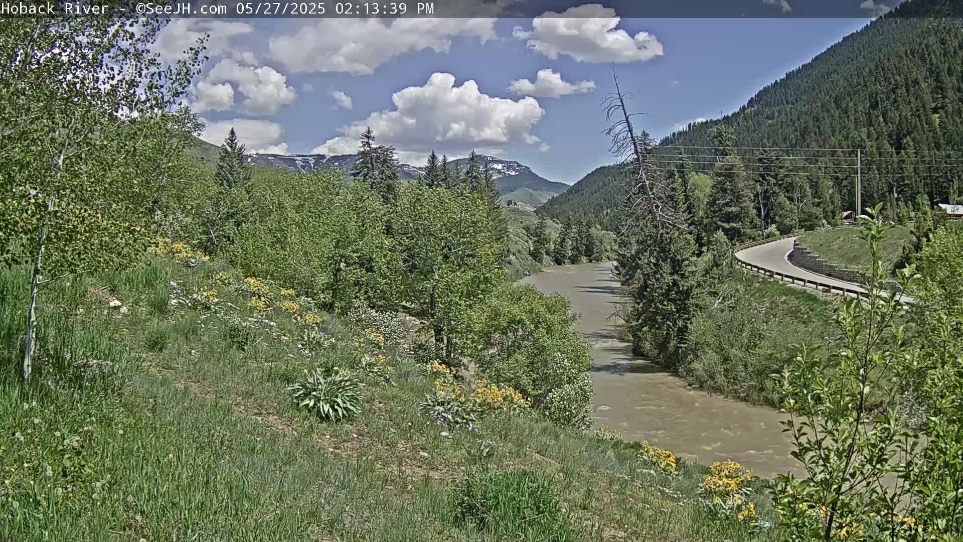 A partly cloudy day reveals a river meandering through a lush green valley, bordered by a road and wildflowers blooming on the hillside, with mountains in the background.