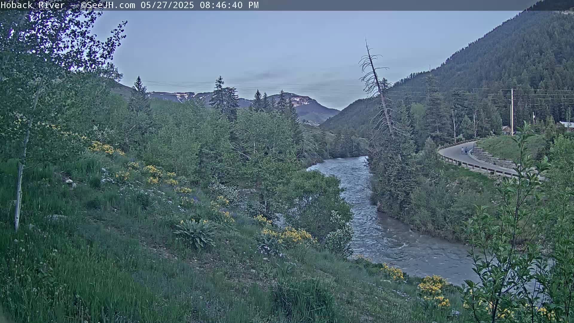 A flowing river winds through a valley of lush green vegetation and mountains under a twilight sky.