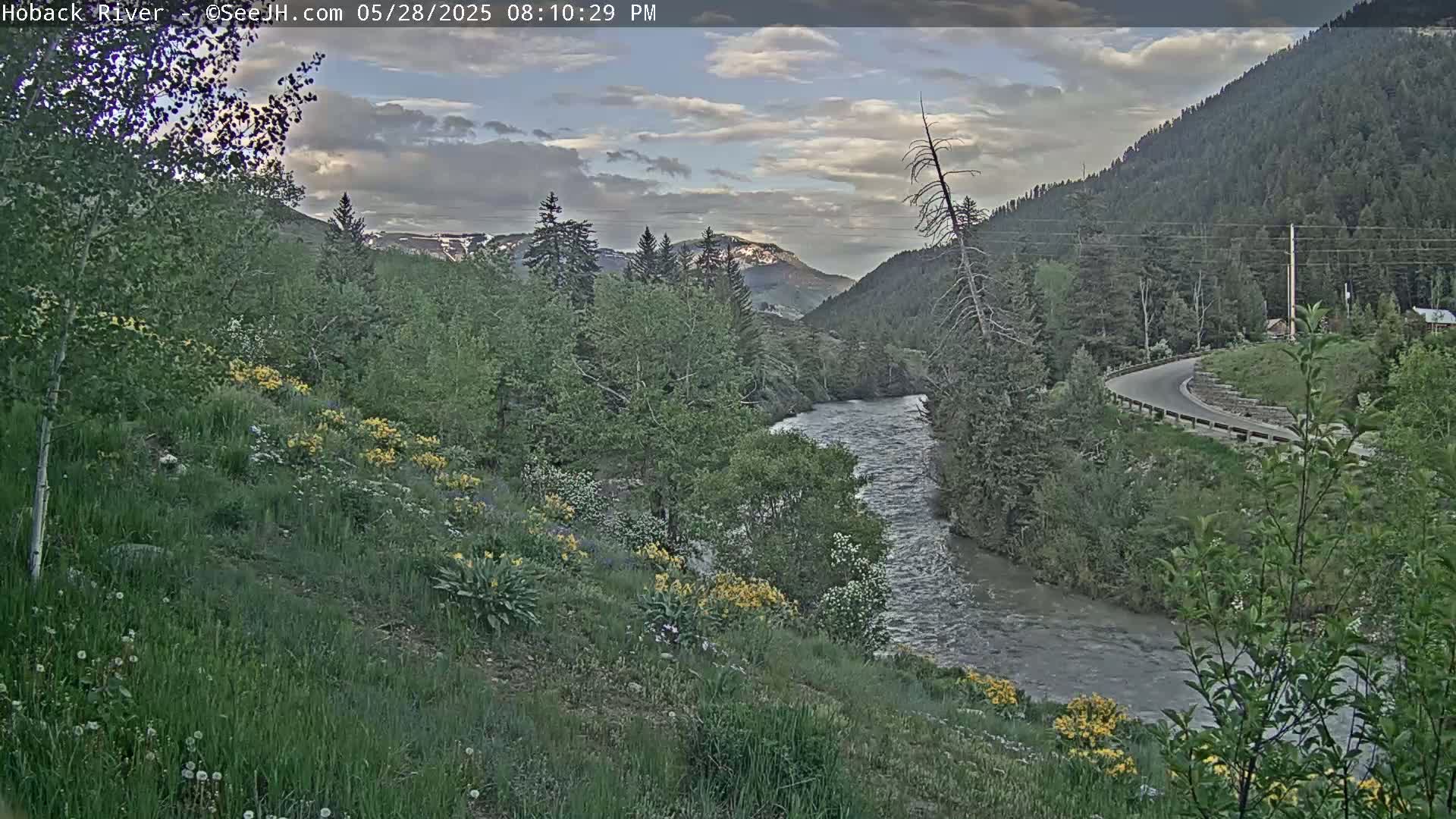 A river flows through a mountain valley under a partly cloudy sky, with wildflowers blooming along the banks and a road curving in the distance.
