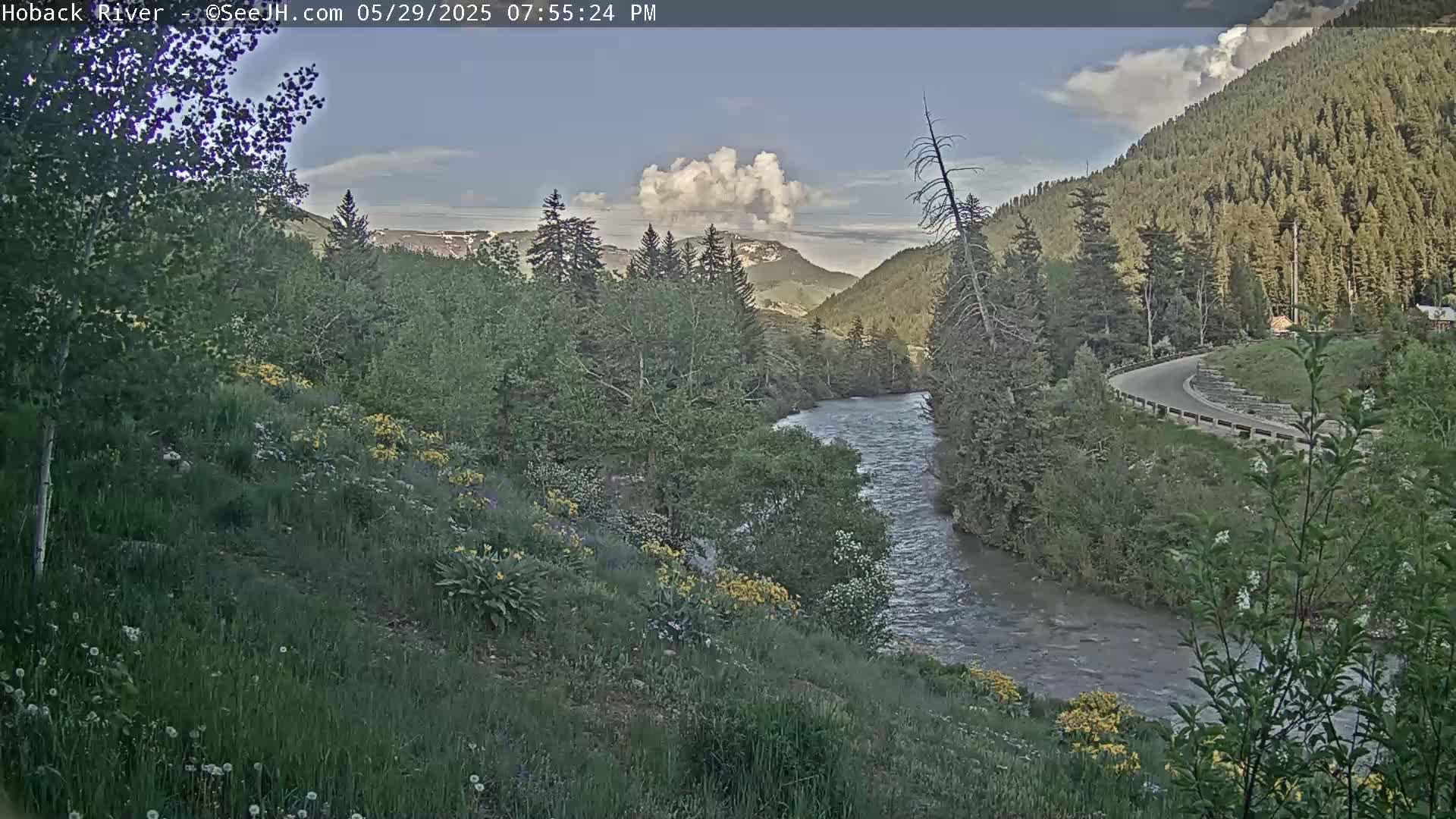 A river flows through a valley of lush green vegetation and coniferous forests under a partly cloudy sky.