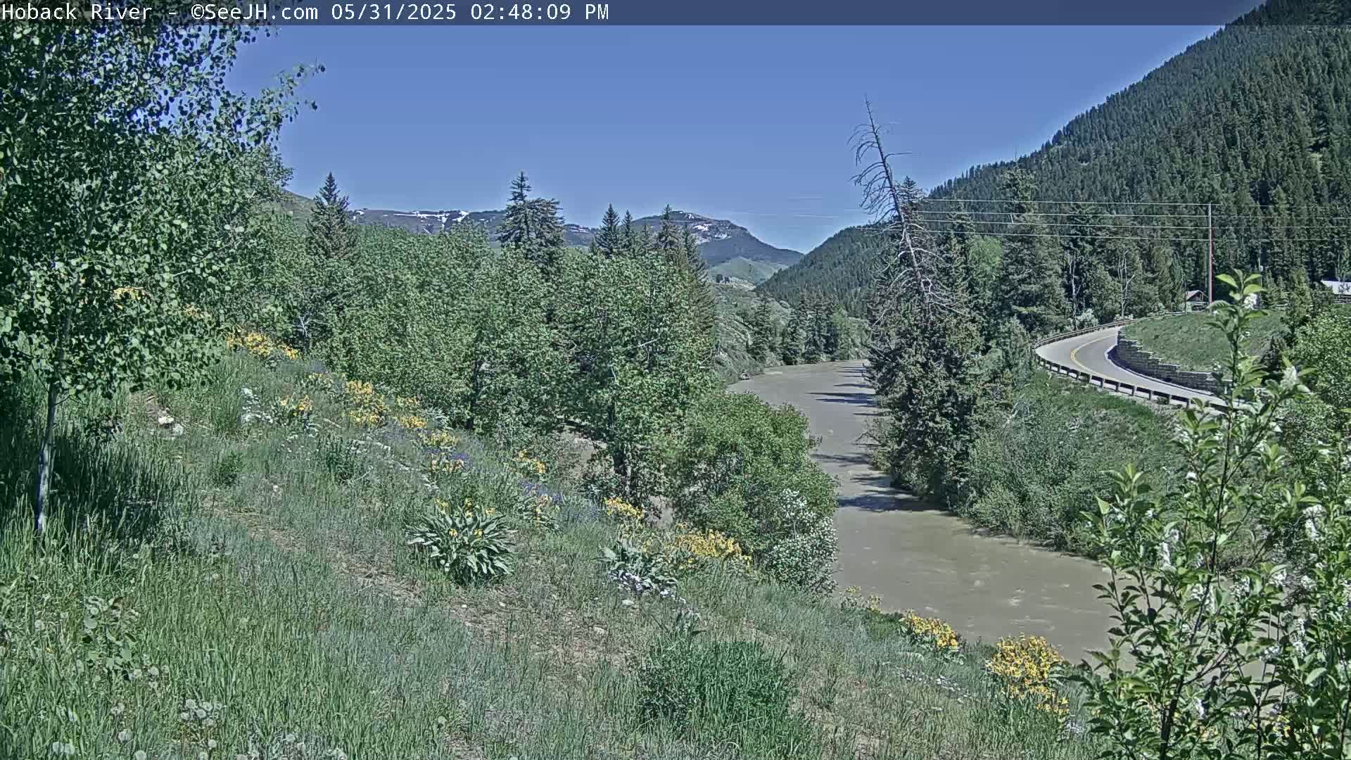 A muddy river flows through a green valley under a clear blue sky, alongside a winding road and bordered by lush vegetation with wildflowers.