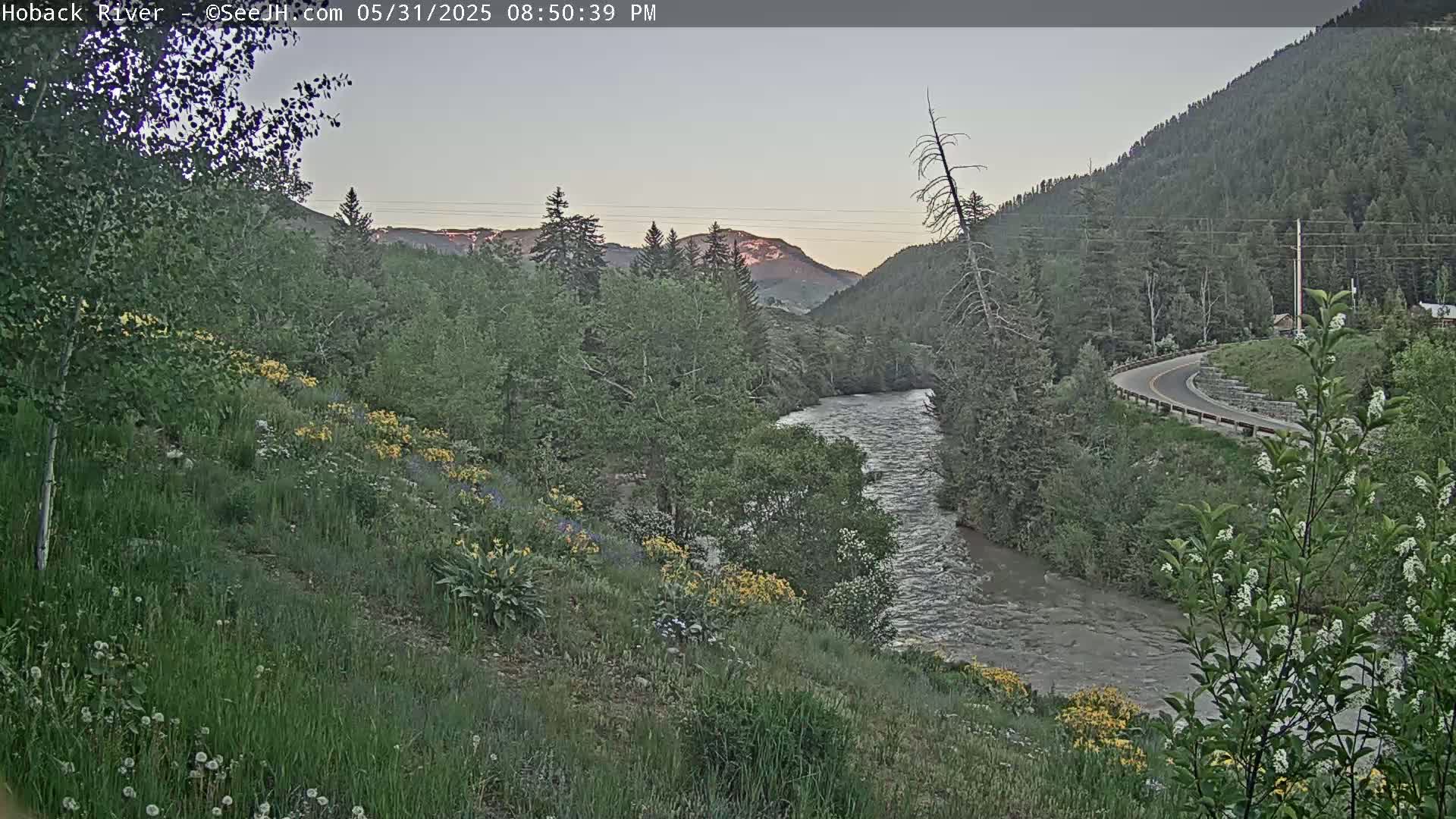 Hoback River  Live Cam  - Hoback, Teton, Wyoming, USA