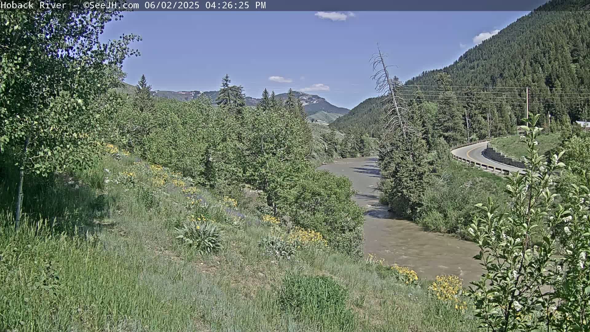 A muddy river flows through a valley of green trees and wildflowers under a mostly clear blue sky.