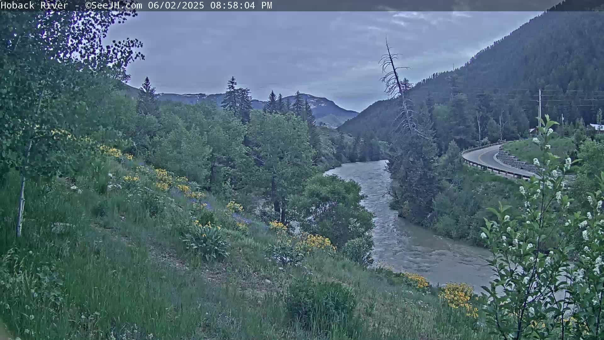 Hoback River  Live Cam  - Hoback, Teton, Wyoming, USA