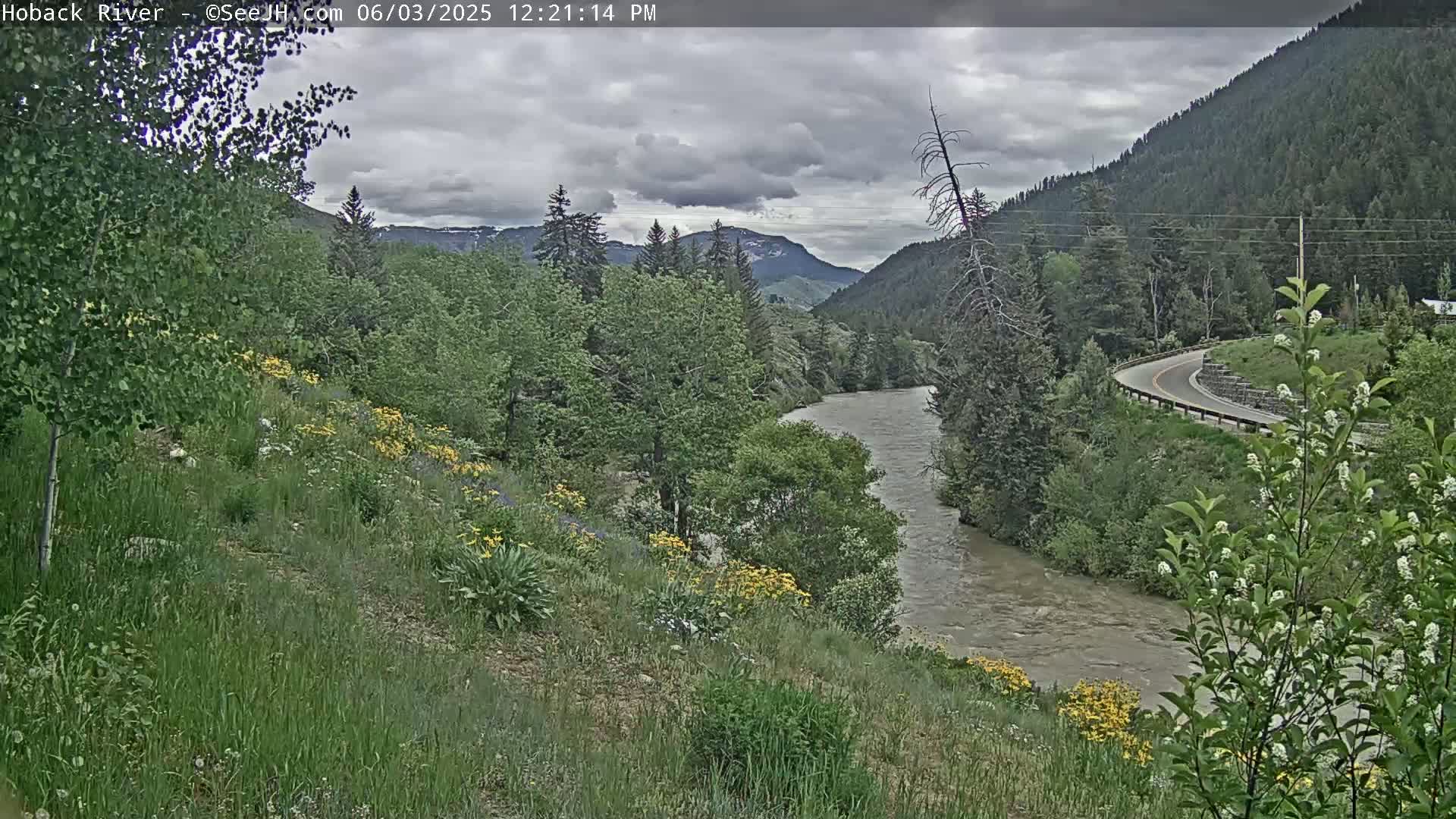 A river flows through a lush green valley under a cloudy sky, with wildflowers blooming on a hillside overlooking a winding road.