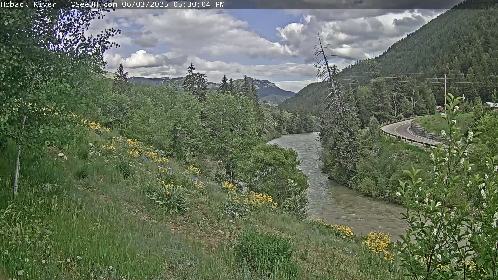 A partly cloudy afternoon scene shows a river winding through a lush green valley, alongside a paved road, with wildflowers blooming on a hillside.