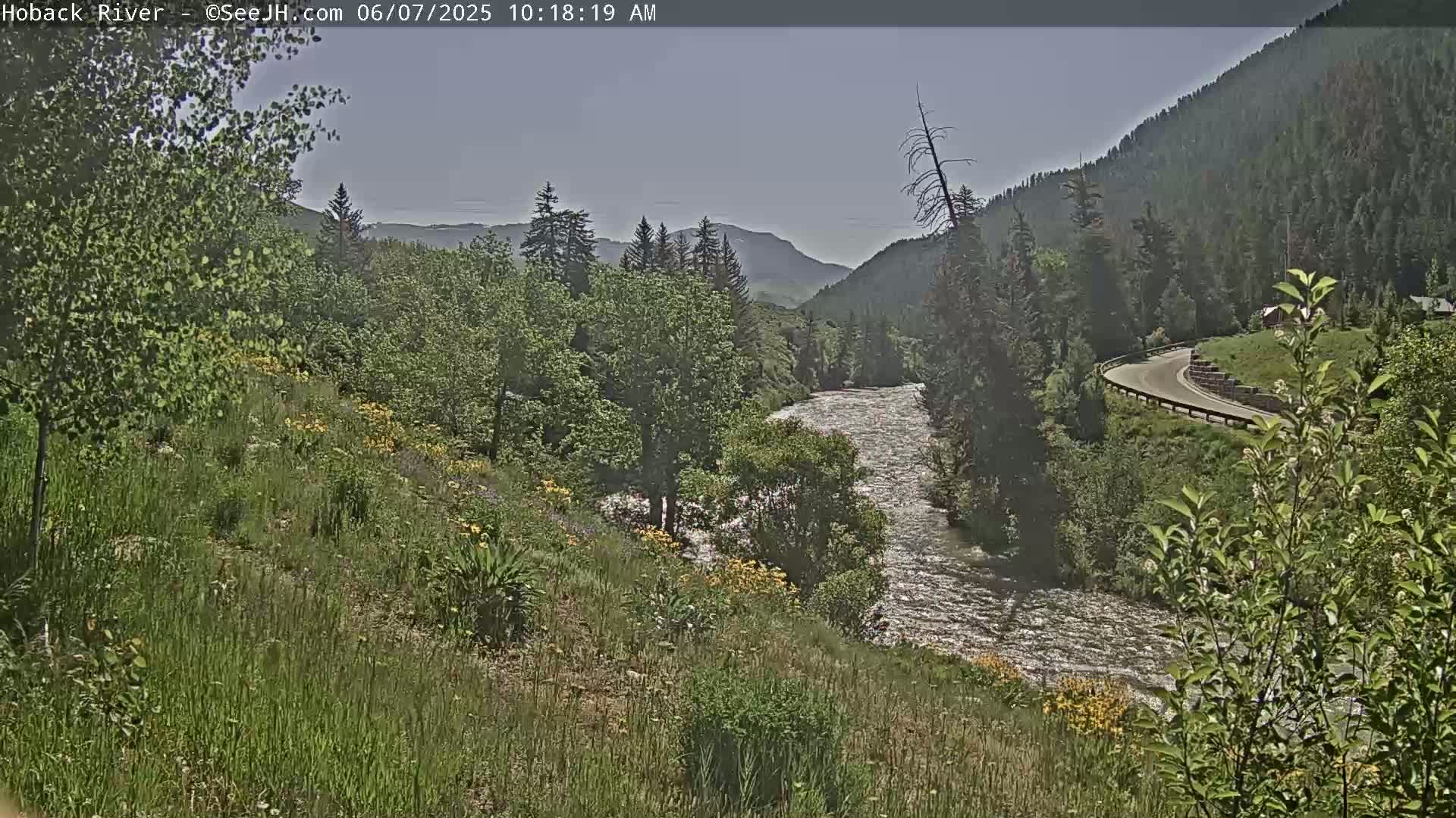 A flowing river winds through a valley of green trees and wildflowers under a mostly clear sky.