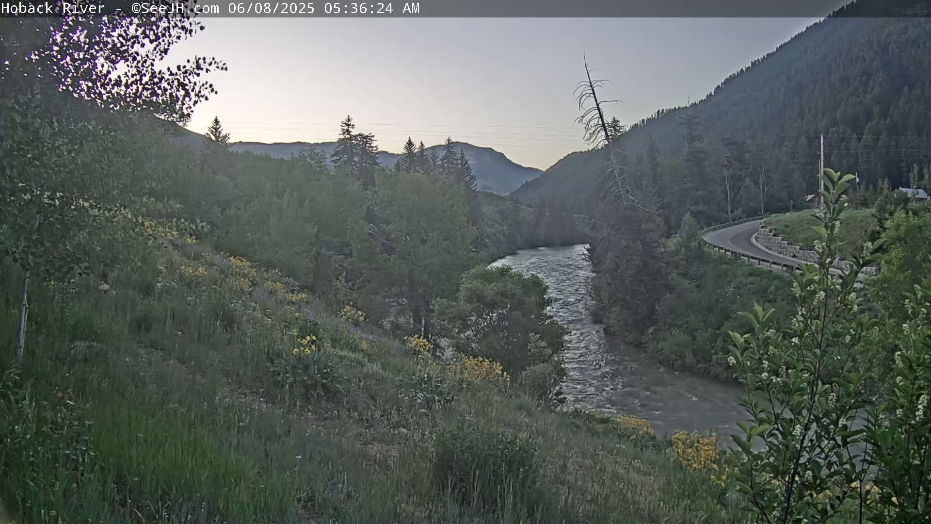 A river flows through a mountainous valley at dawn, with wildflowers blooming on the hillside and a road visible in the distance.