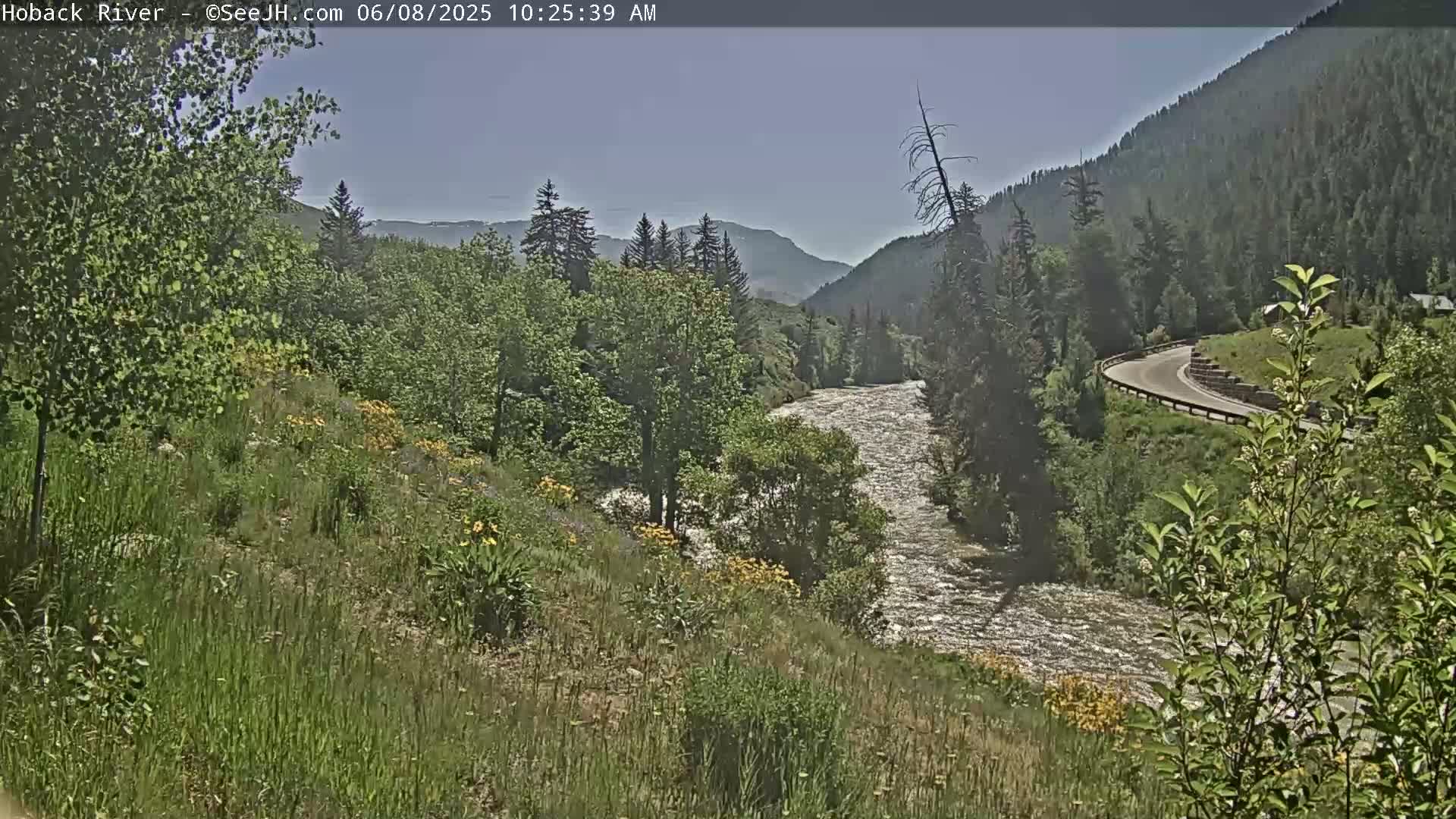 A swiftly flowing river meanders through a lush green valley under a clear, sunny sky, bordered by a winding road and mountains in the distance.