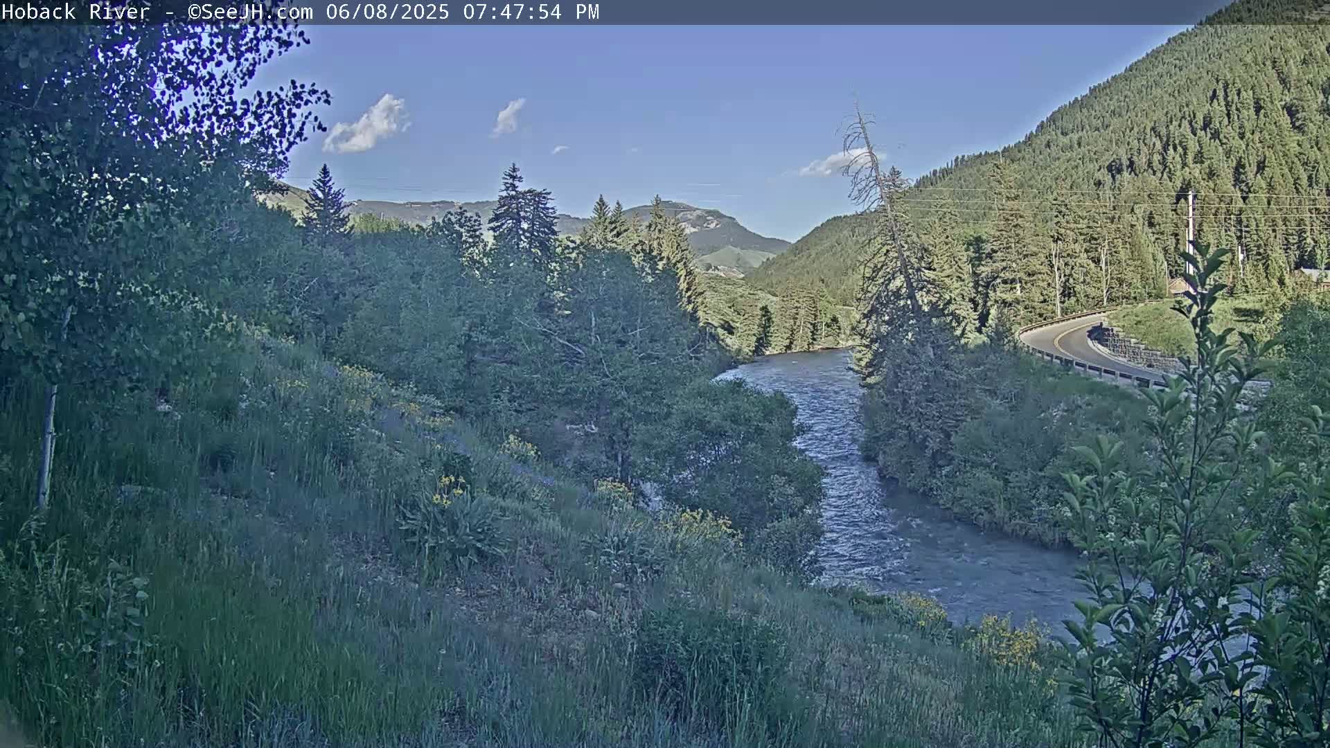 Hoback River  Live Cam  - Hoback, Teton, Wyoming, USA