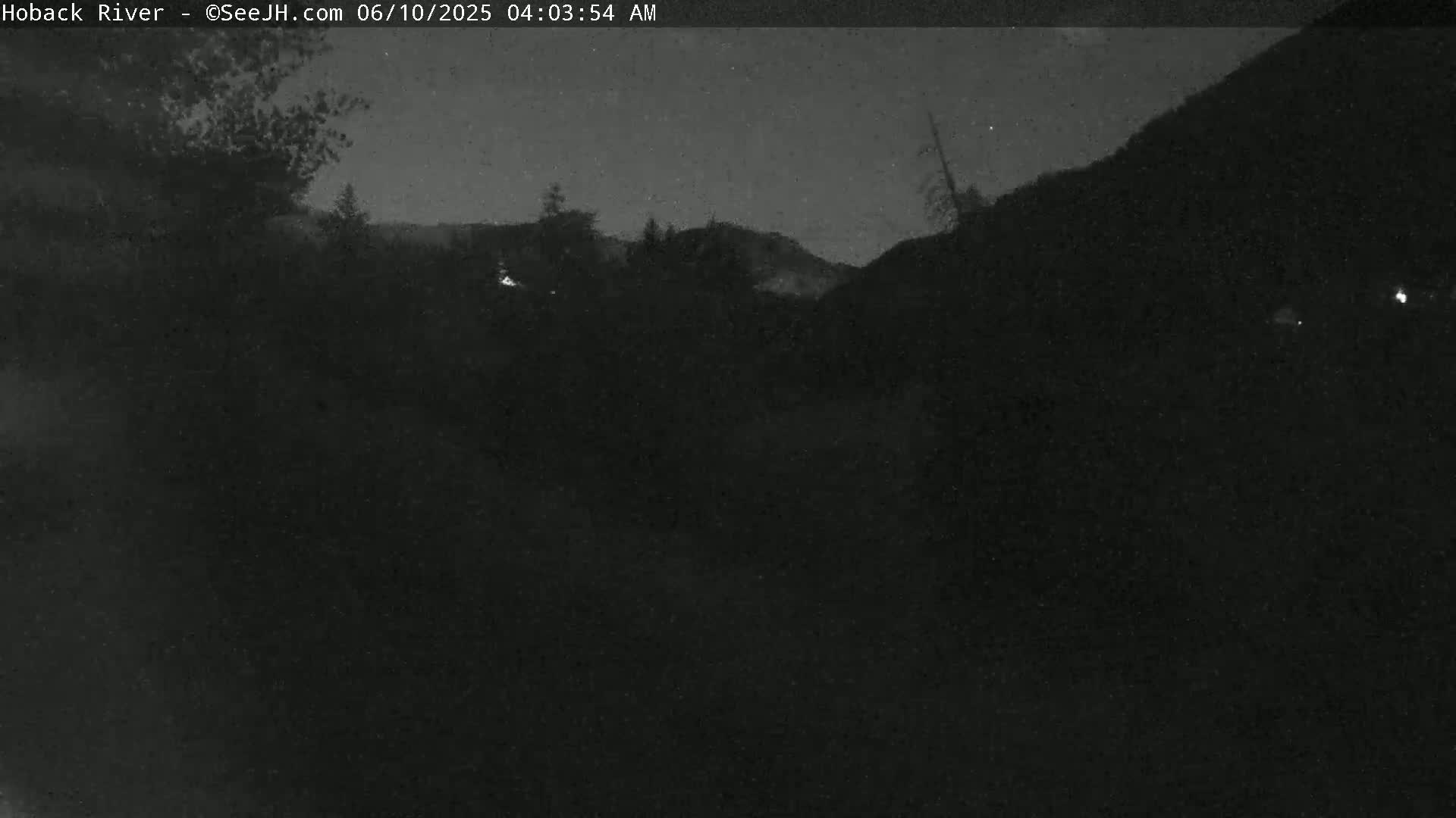 A nighttime, dark view of silhouetted trees and hills under a clear, starlit sky.