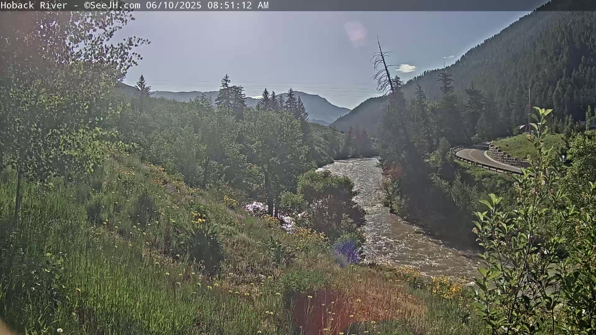 A river flows through a mountain valley on a sunny day, with wildflowers blooming along the banks and a winding road visible on the hillside.