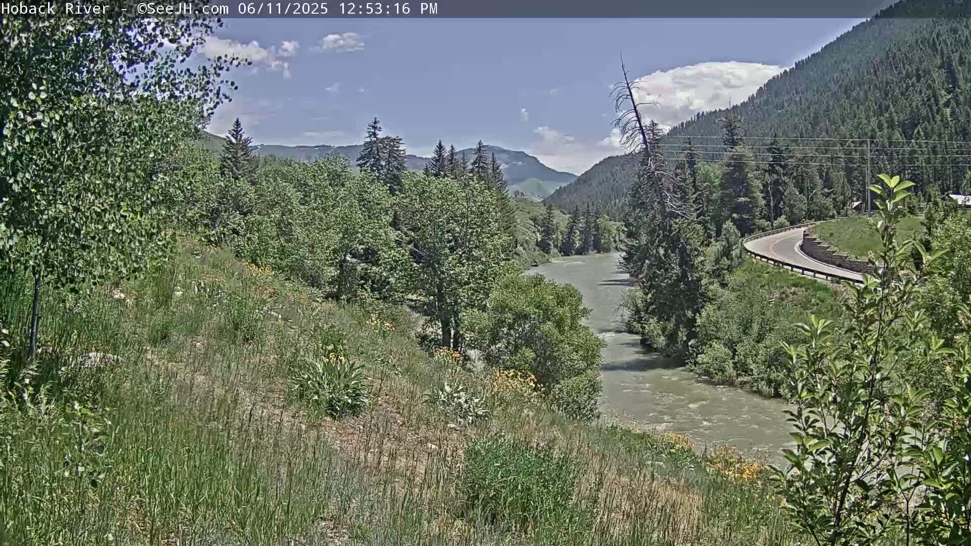 Hoback River  Live Cam  - Hoback, Teton, Wyoming, USA
