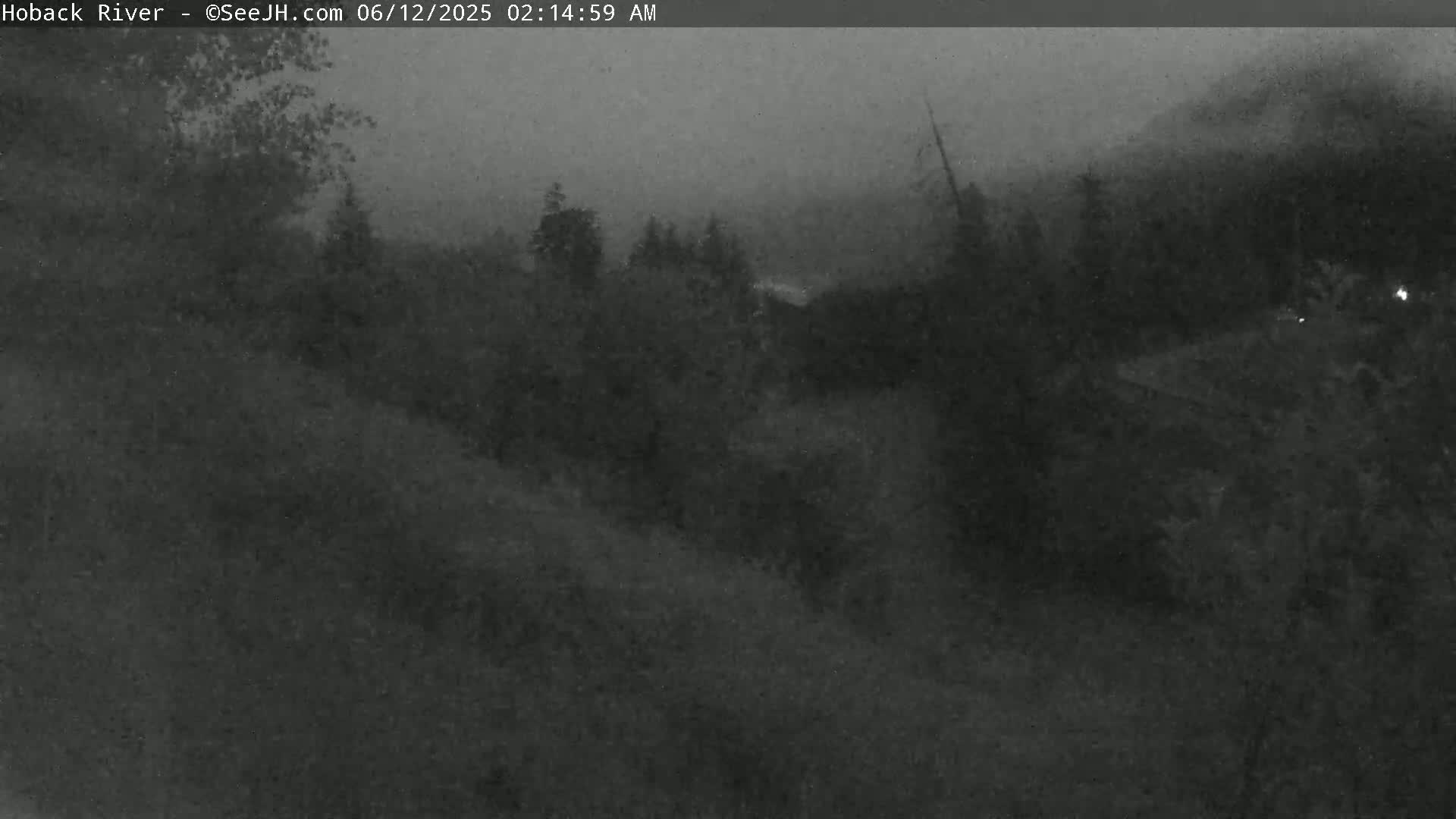 A dark, nighttime view of a wooded area with hazy or foggy conditions.