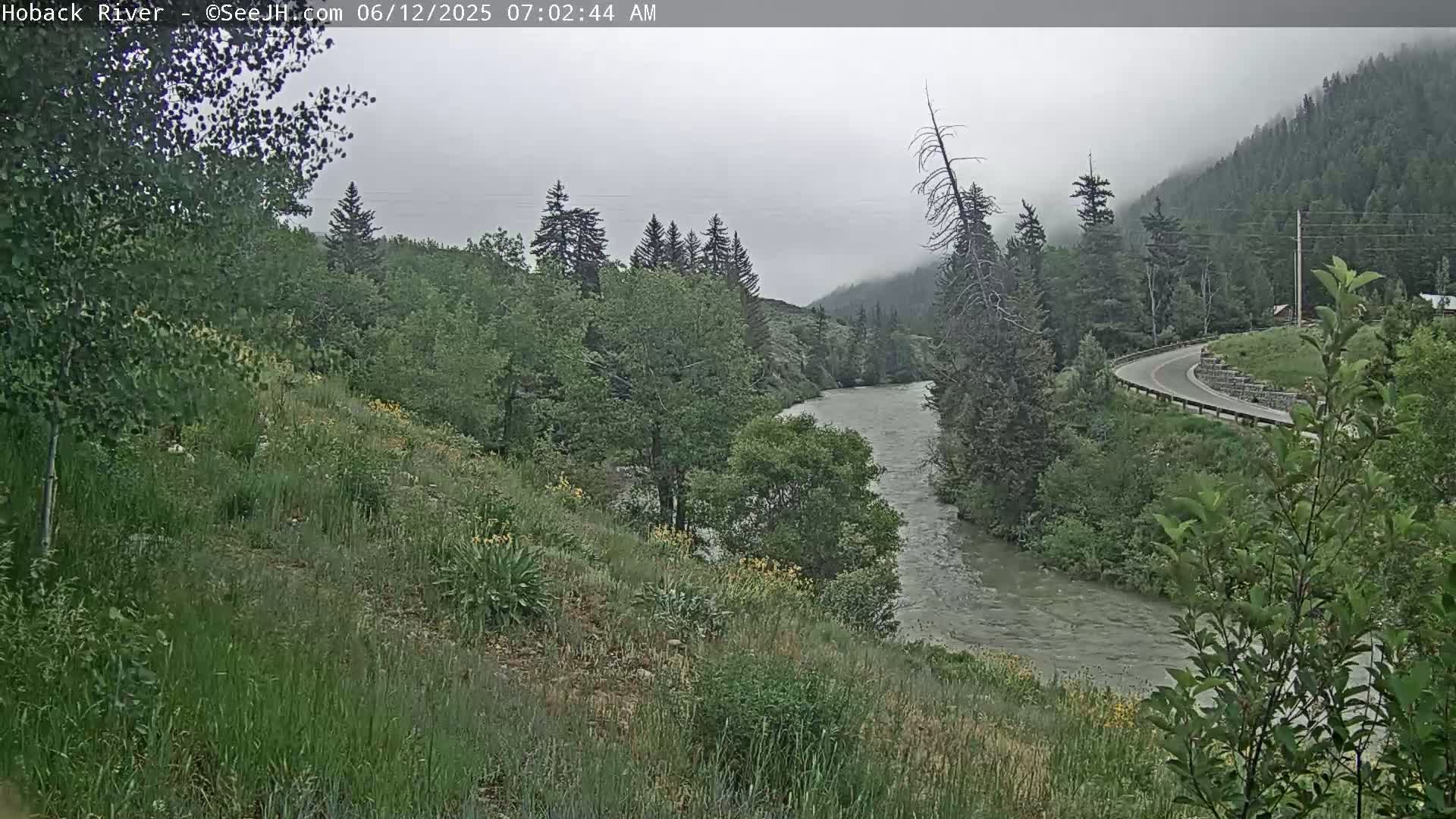 A cloudy, overcast day reveals a river winding through a lush green valley, alongside a curving road and dense forest.