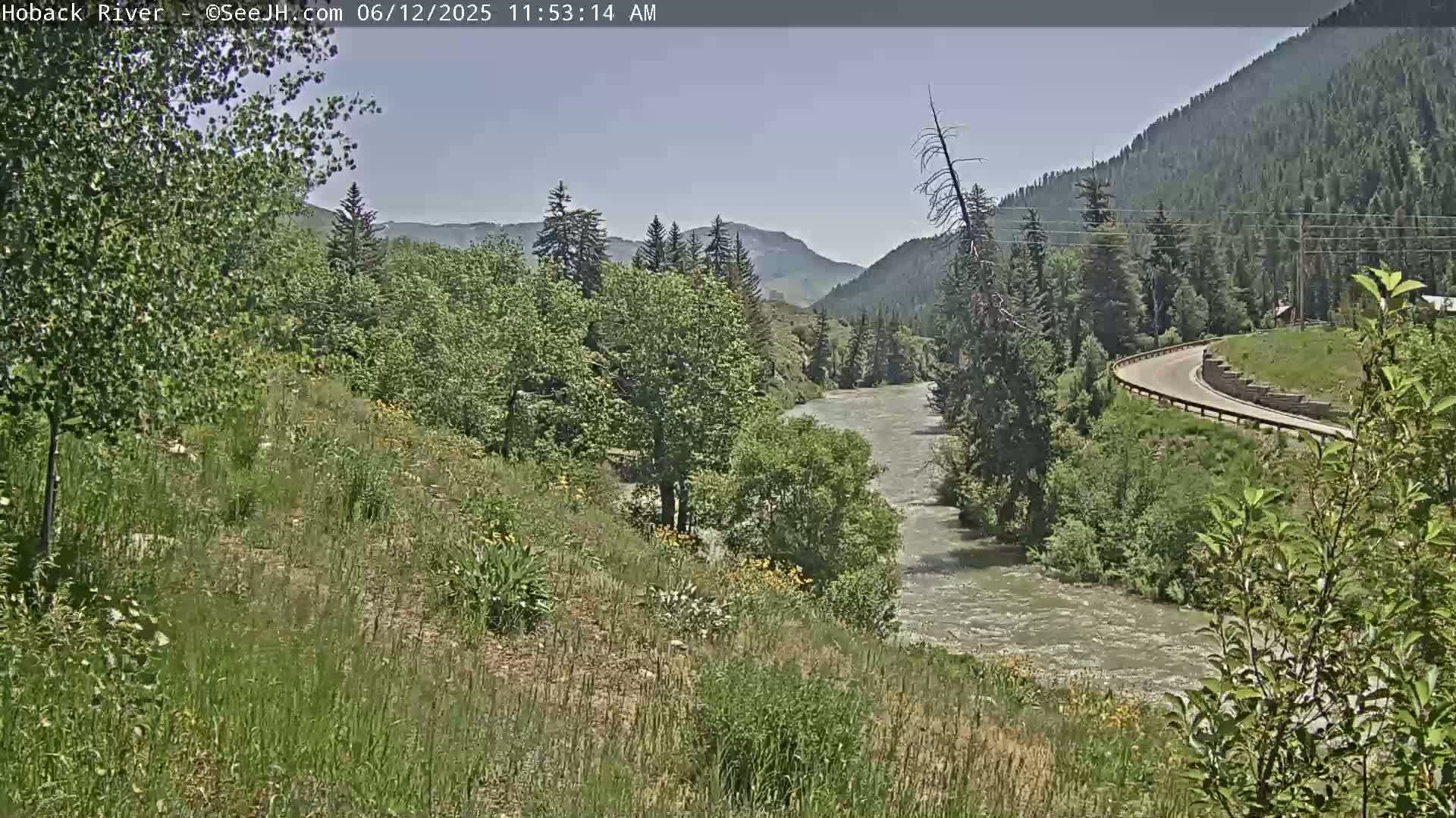 Hoback River  Live Cam  - Hoback, Teton, Wyoming, USA