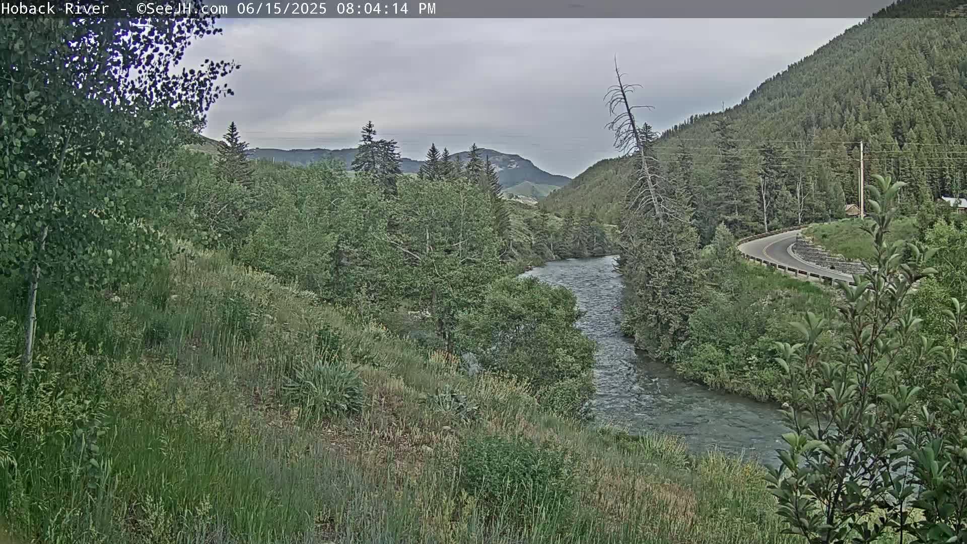 Hoback River  Live Cam  - Hoback, Teton, Wyoming, USA