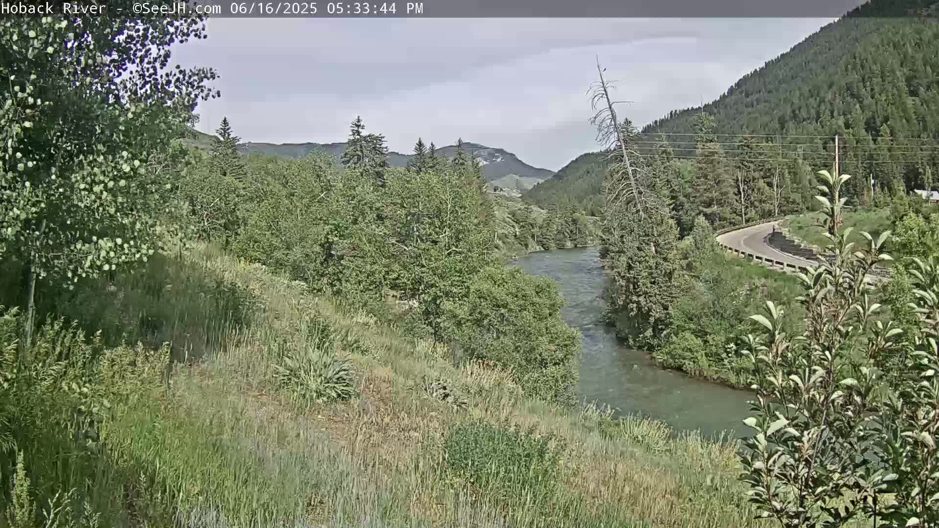 Hoback River  Live Cam  - Hoback, Teton, Wyoming, USA